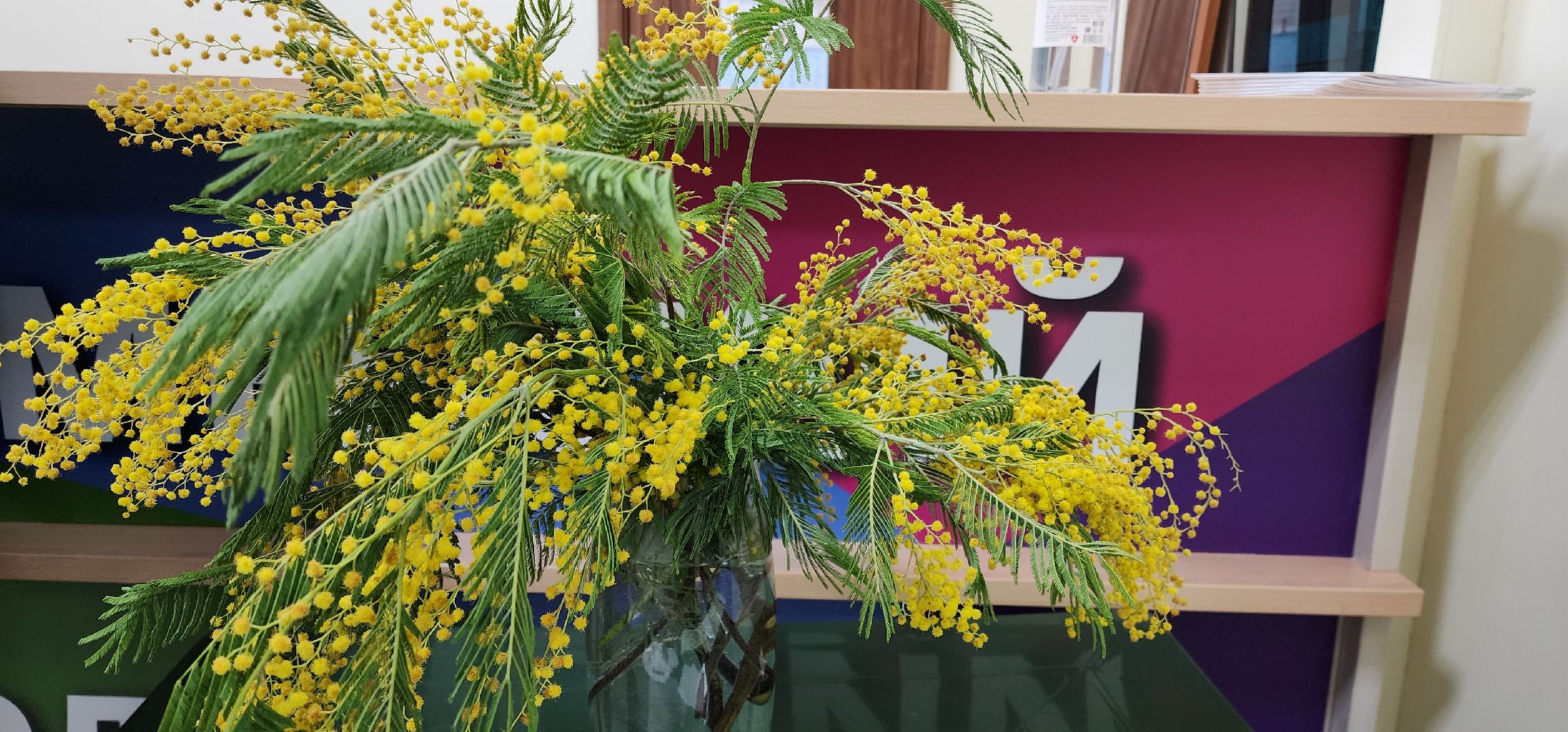 раменское, общество, женский фестиваль, ветка мимозы,