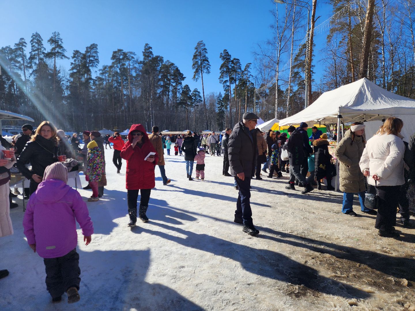 ногинск, культура, богородские парки, парки мо,