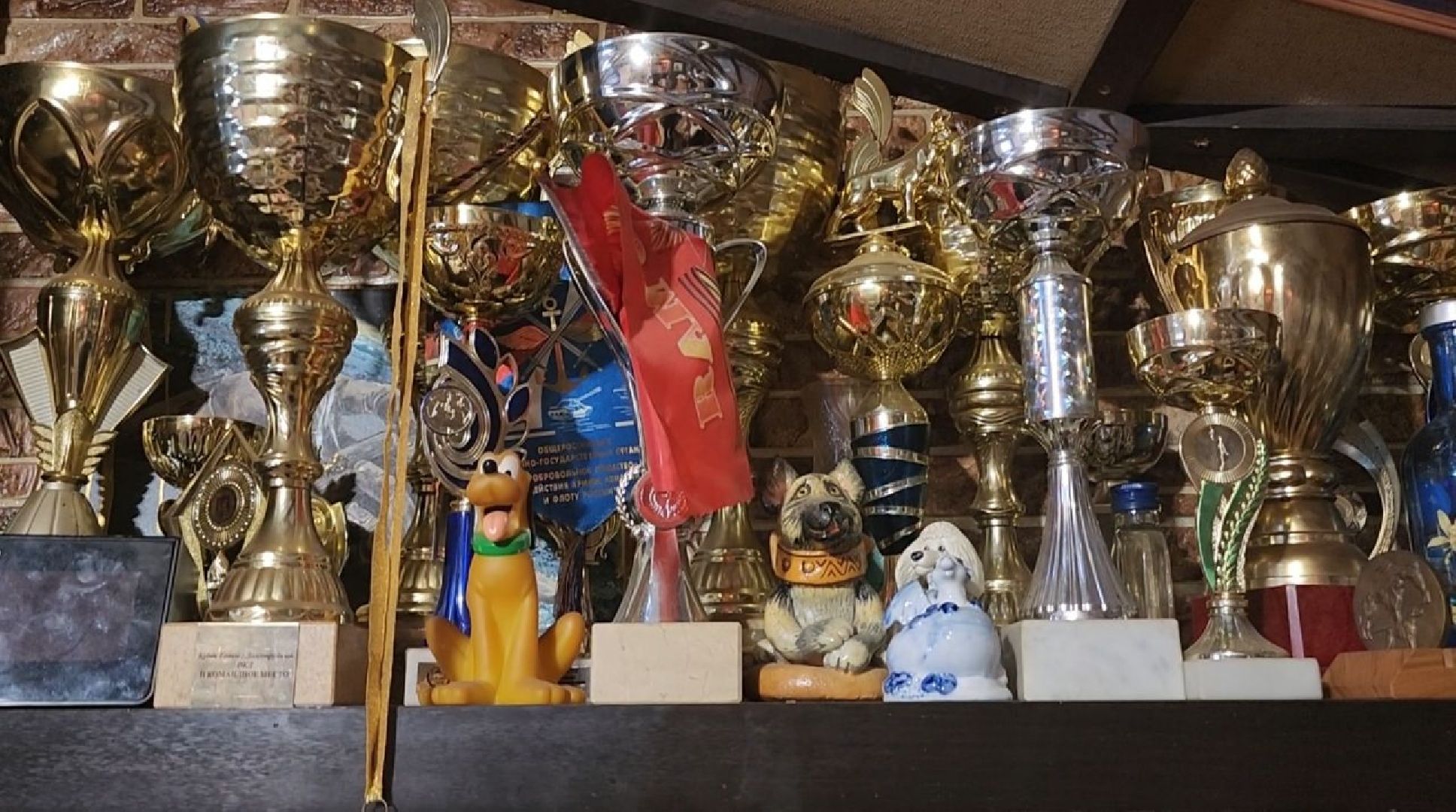 долгопрудный, кинологи, x-легион, собаки-герои ВОВ,