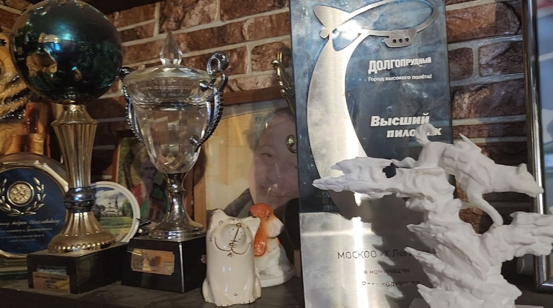 долгопрудный, кинологи, x-легион, собаки-герои ВОВ,