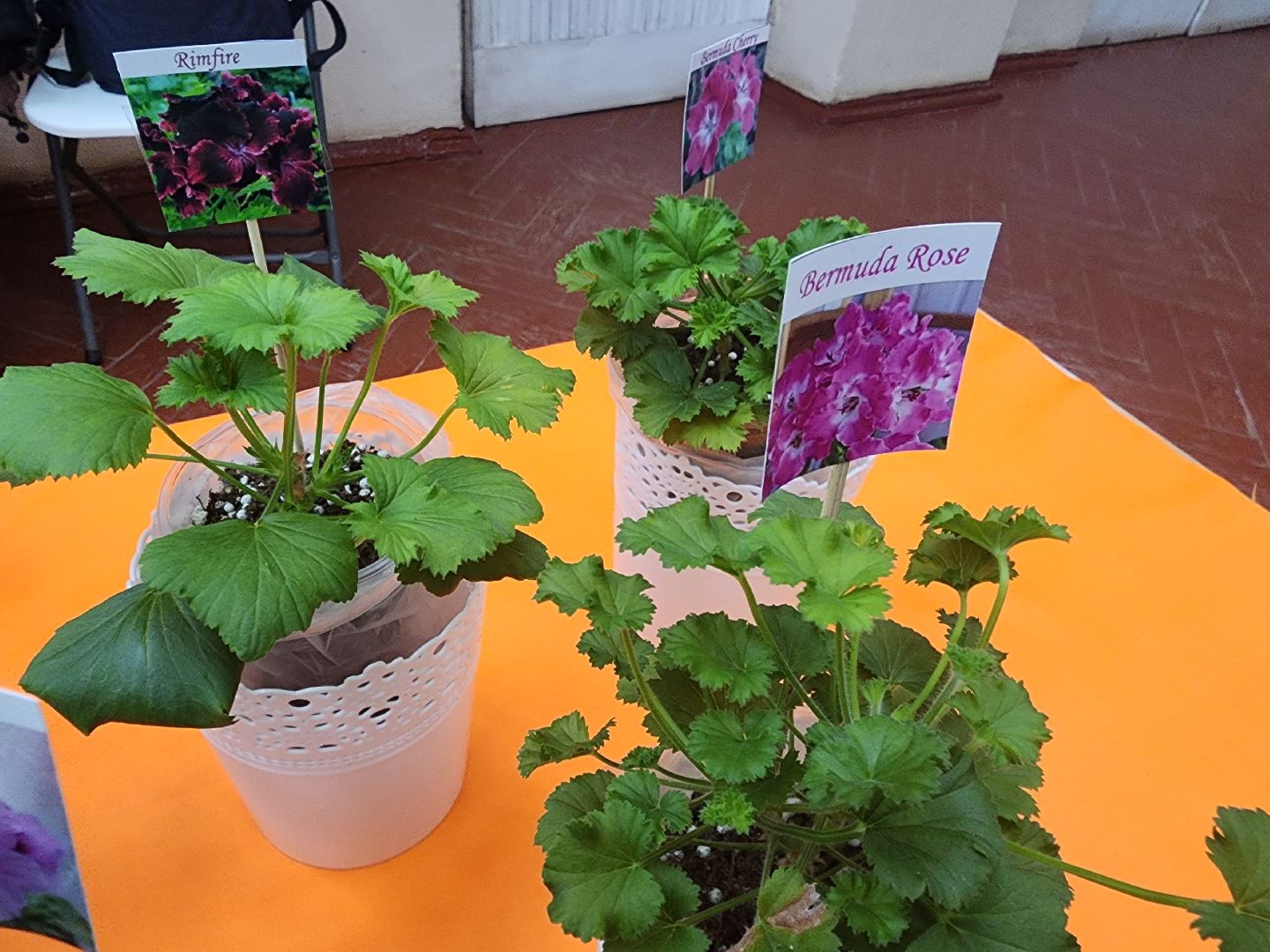 Фестиваль творчества, орехово-зуевский округ,