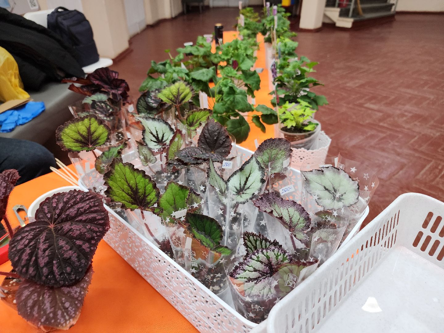 Фестиваль творчества, орехово-зуевский округ,