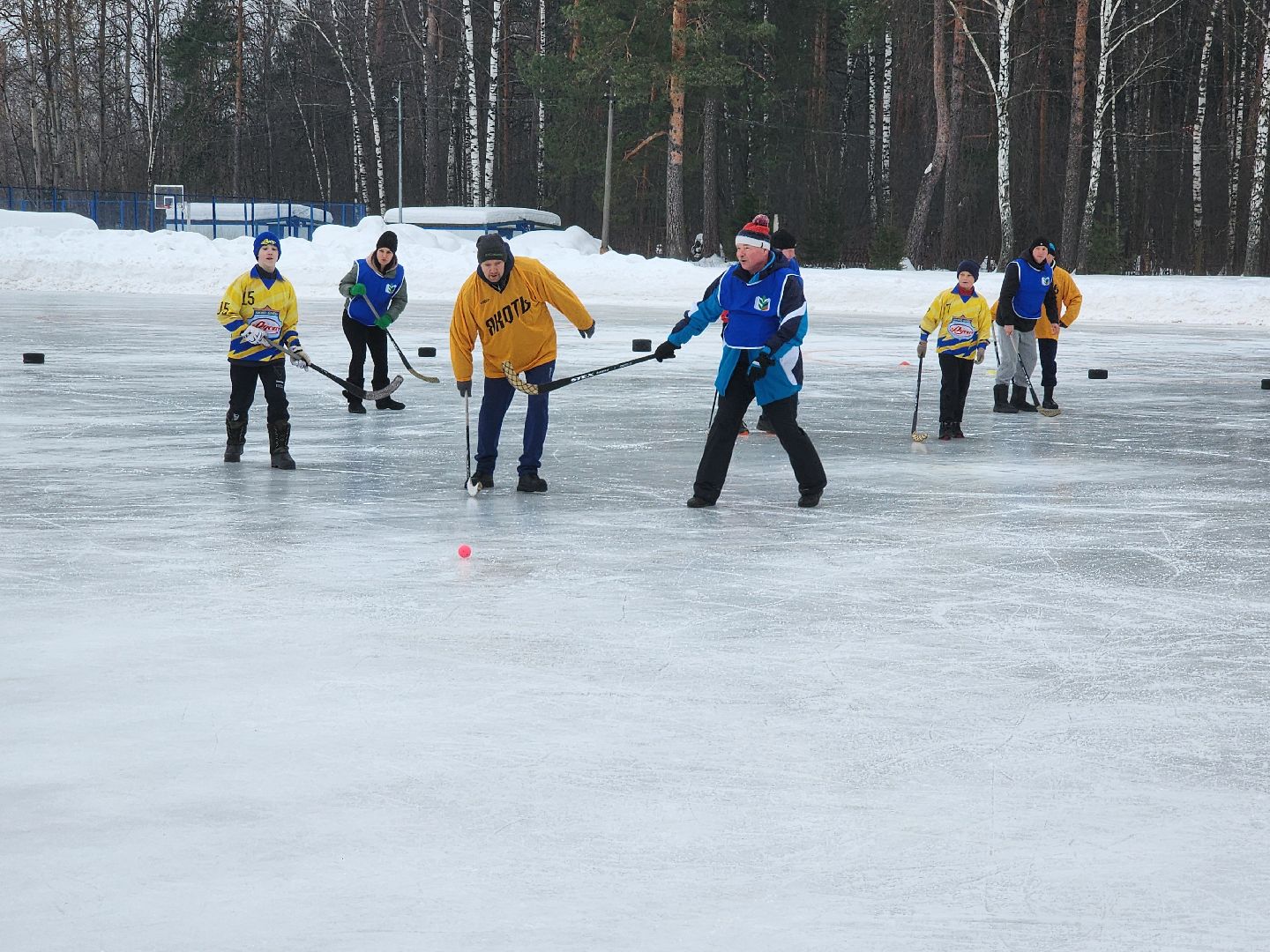 профсоюз, орехово-зуевский округ, хоккей в валенках,
