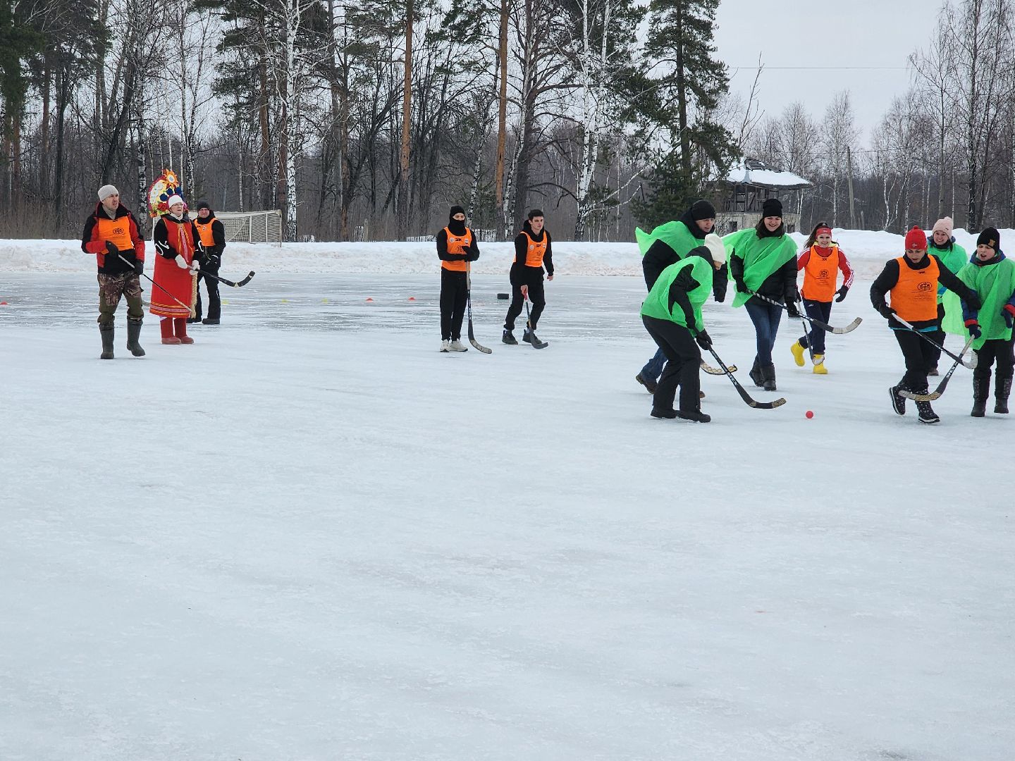 профсоюз, орехово-зуевский округ, хоккей в валенках,