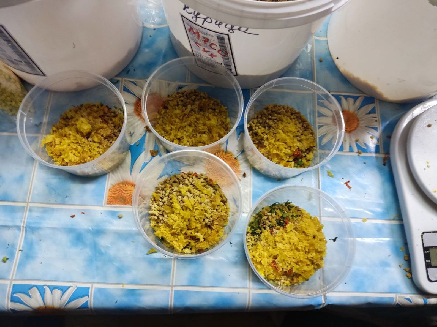 шаховская, сво, штаб помощи,