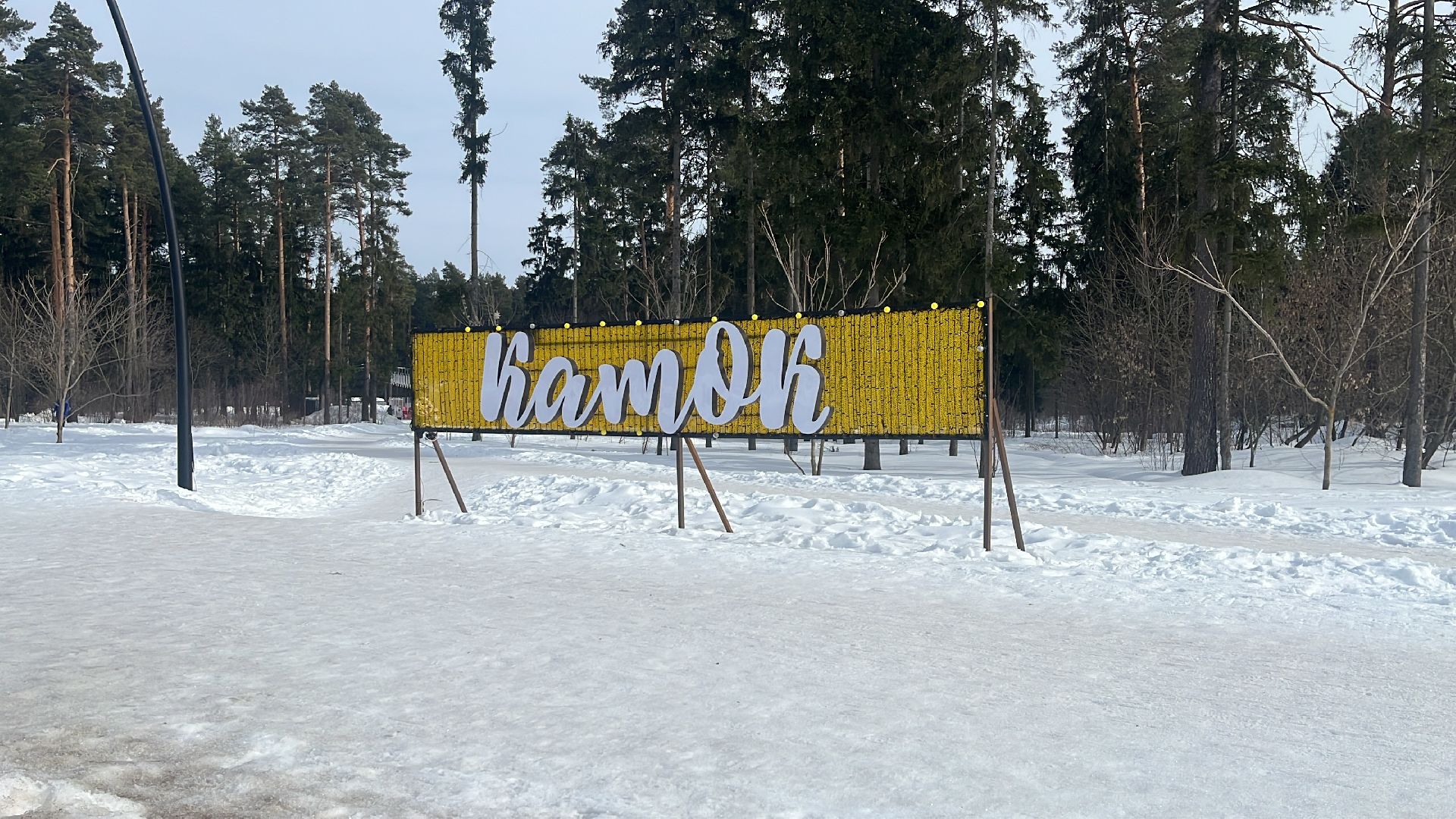 каток в парке, пестовский парк, балашиха, катание в парке,