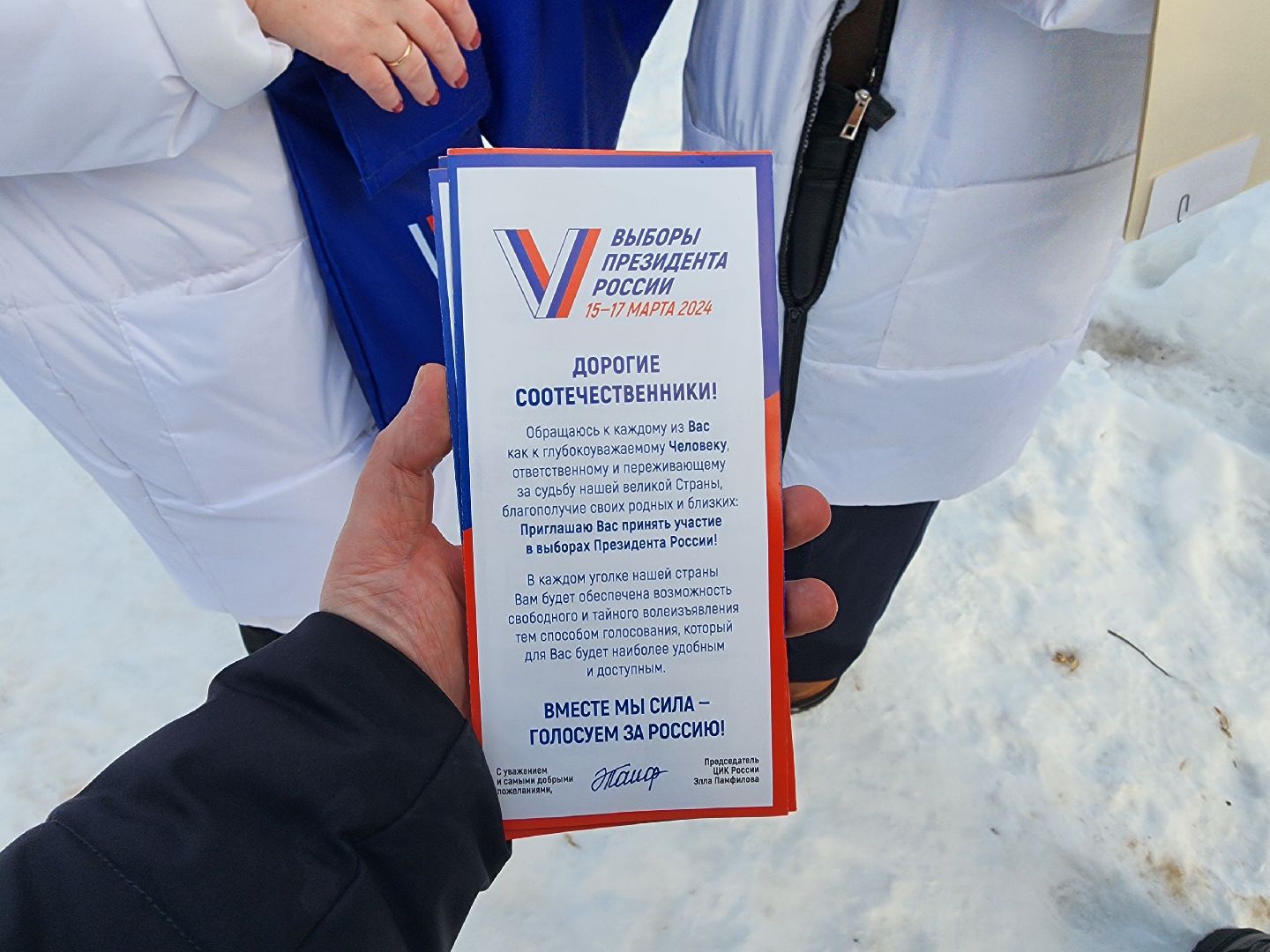 серпухов, подмосковье, информаторы уик, выборы 2024,