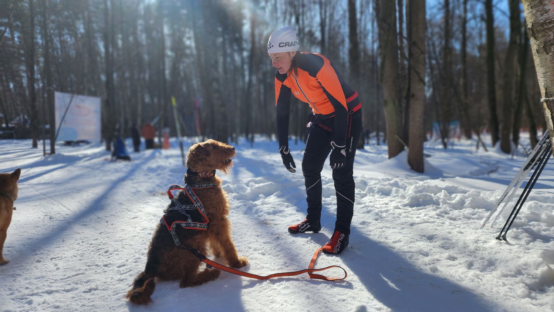 спорт в подмосковье, ступино, гонки,