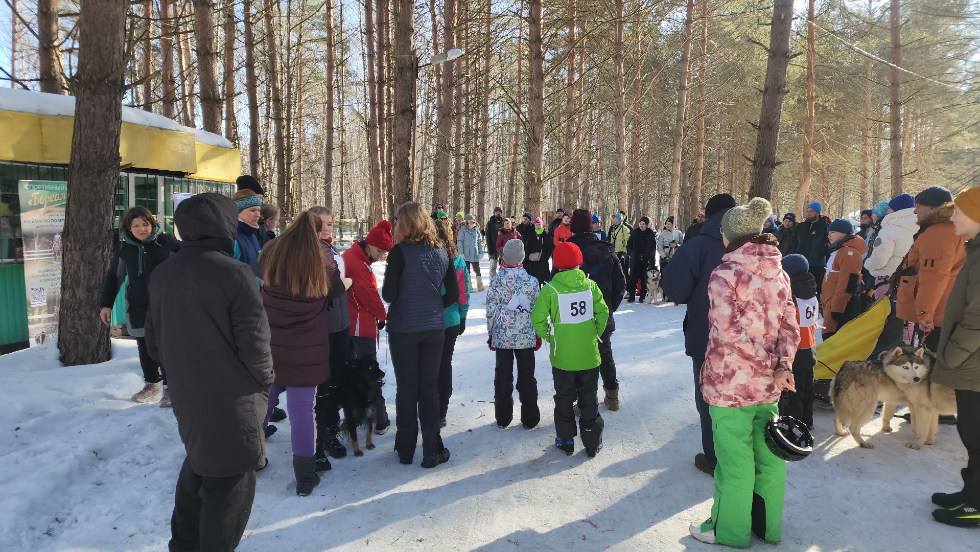 спорт в подмосковье, ступино, гонки,