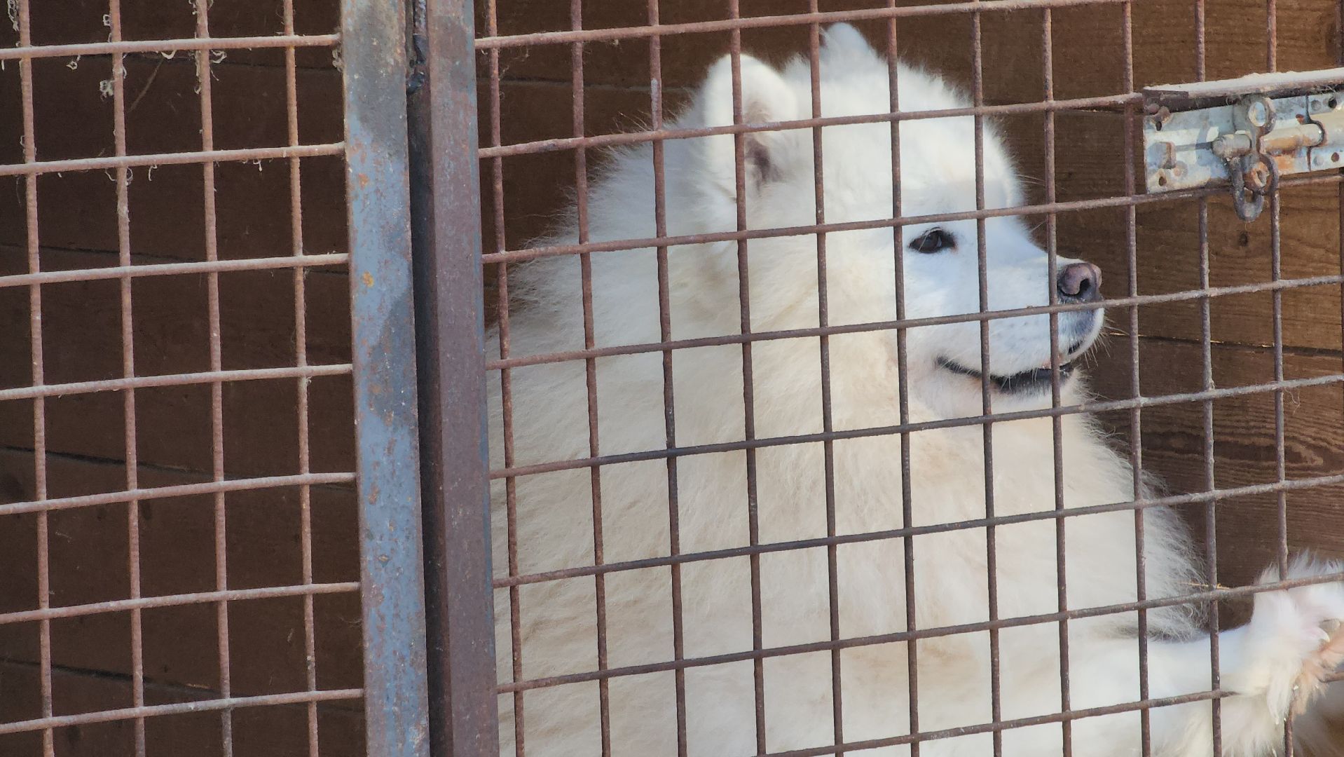 спорт в подмосковье, ступино, гонки,