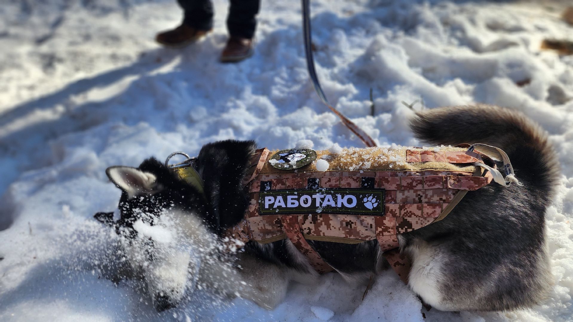 спорт в подмосковье, ступино, гонки,