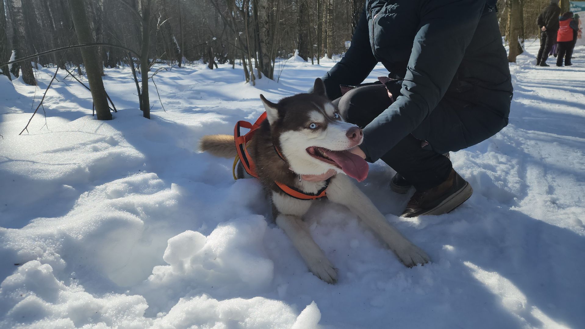спорт в подмосковье, ступино, гонки,
