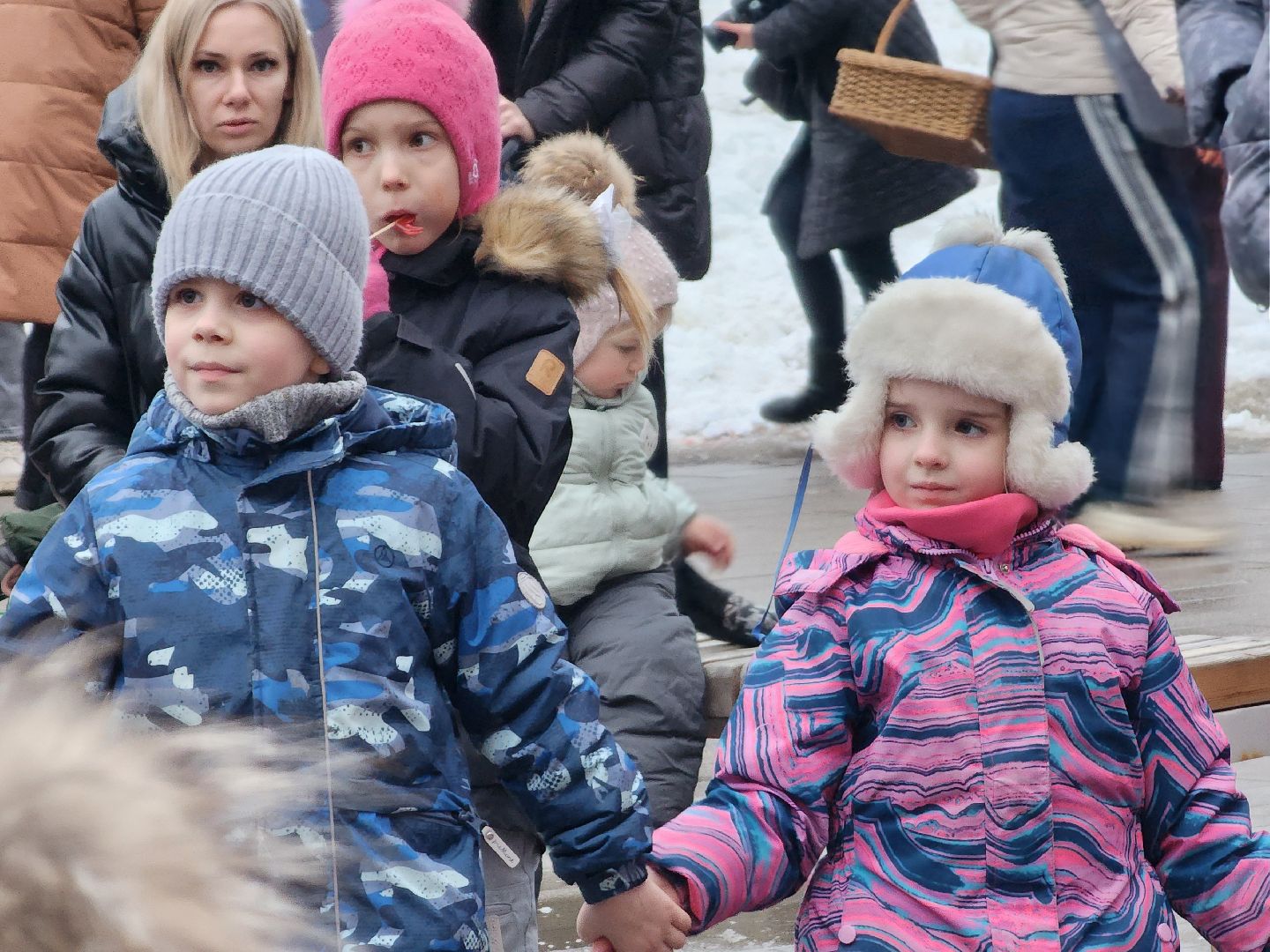 воскресенск, парк кривякино, день кошек, день котов, парки подмосковья,