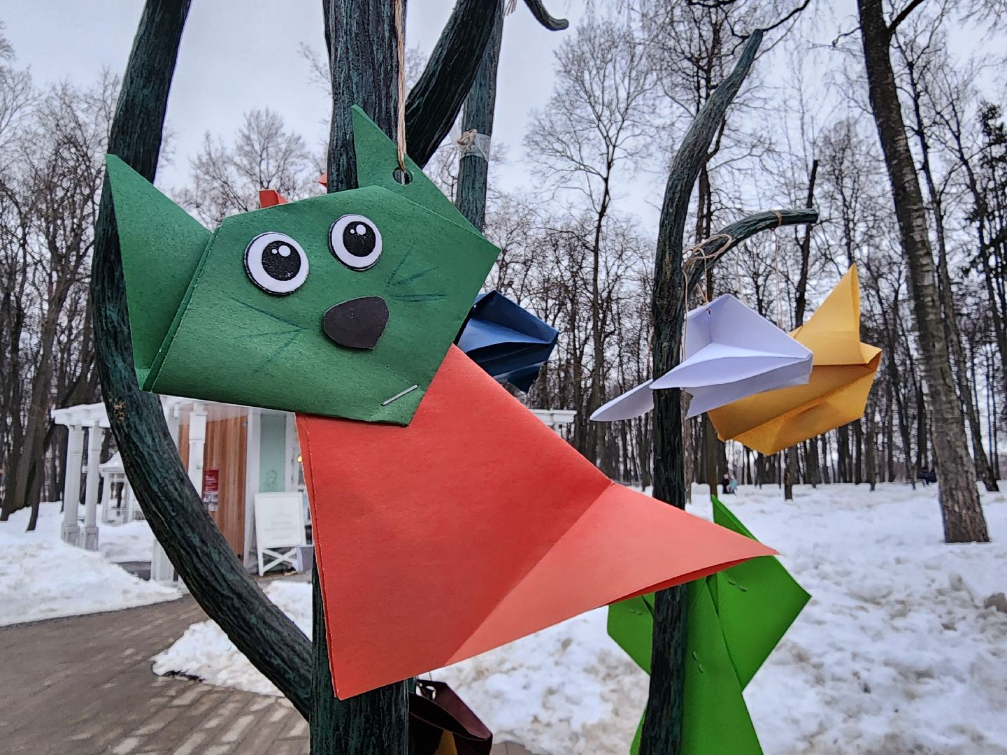 воскресенск, парк кривякино, день кошек, день котов, парки подмосковья,