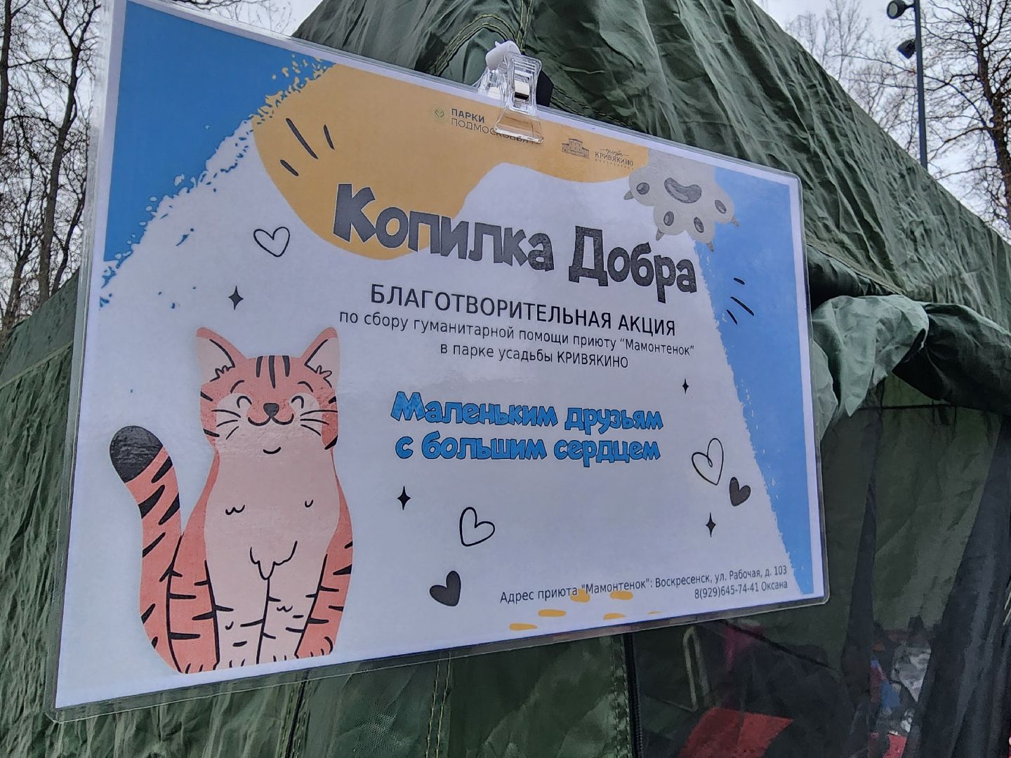 воскресенск, парк кривякино, день кошек, день котов, парки подмосковья,