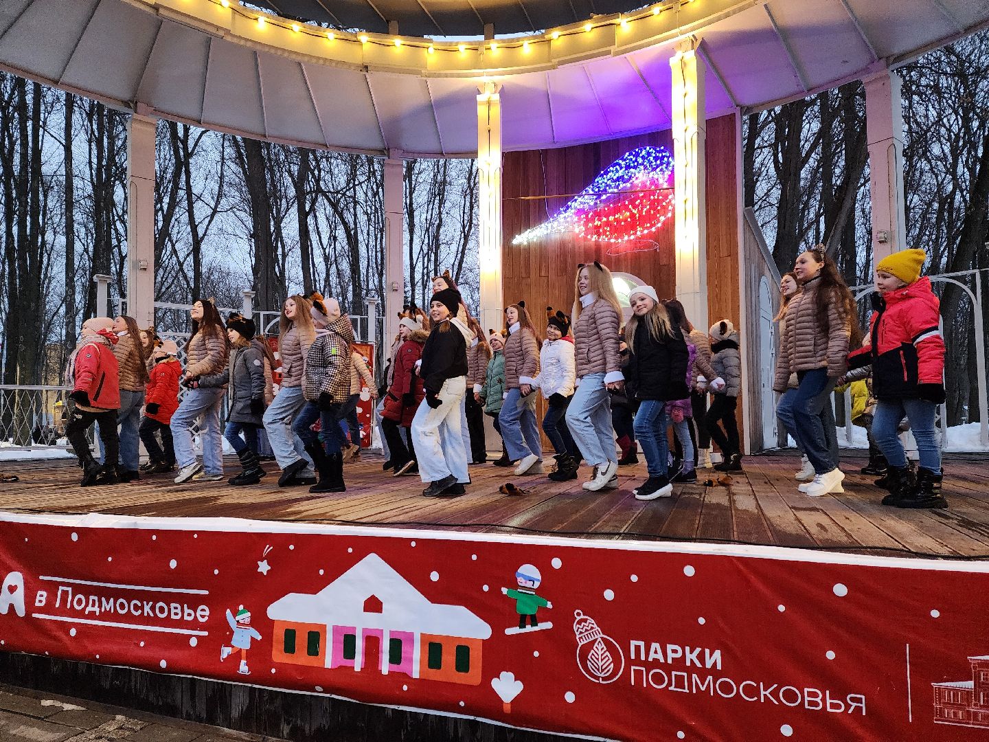 воскресенск, парк кривякино, день кошек, день котов, парки подмосковья,