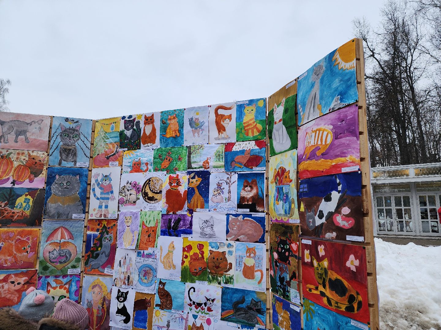 воскресенск, парк кривякино, день кошек, день котов, парки подмосковья,