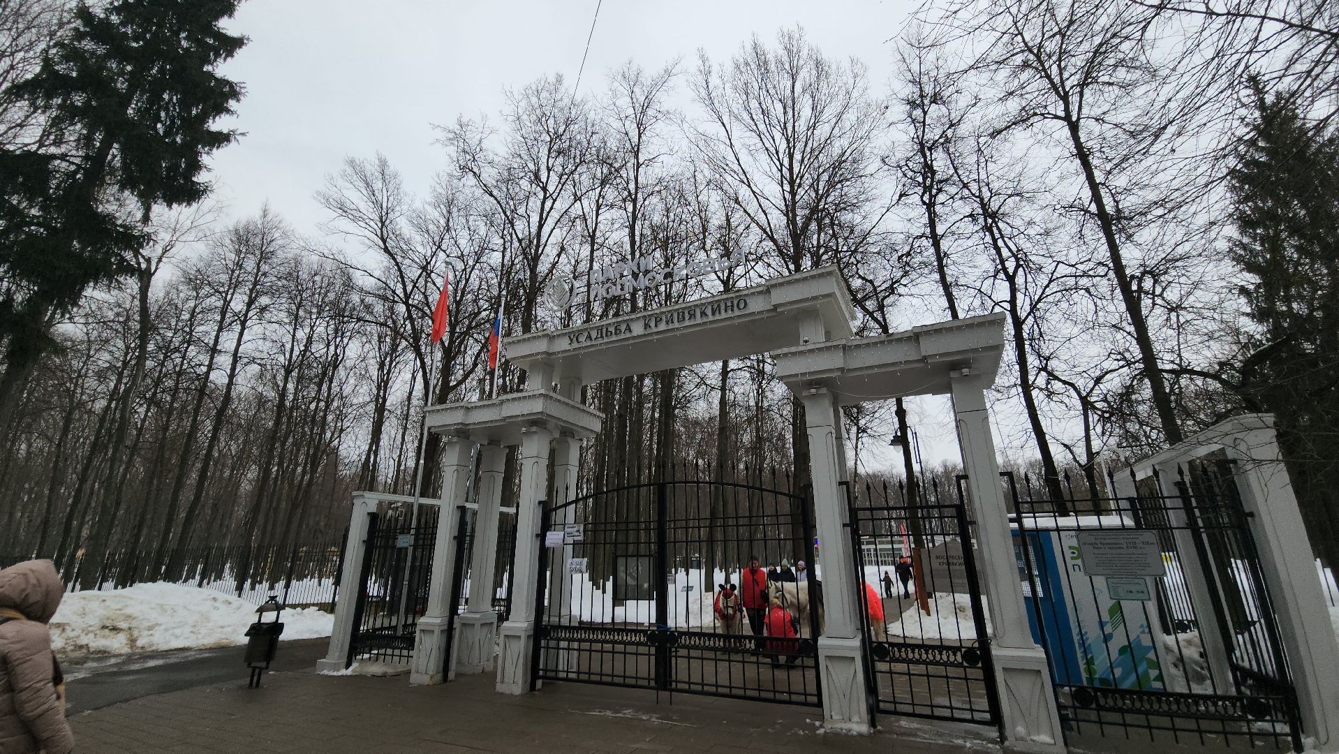 воскресенск, парк кривякино, день кошек, день котов, парки подмосковья,