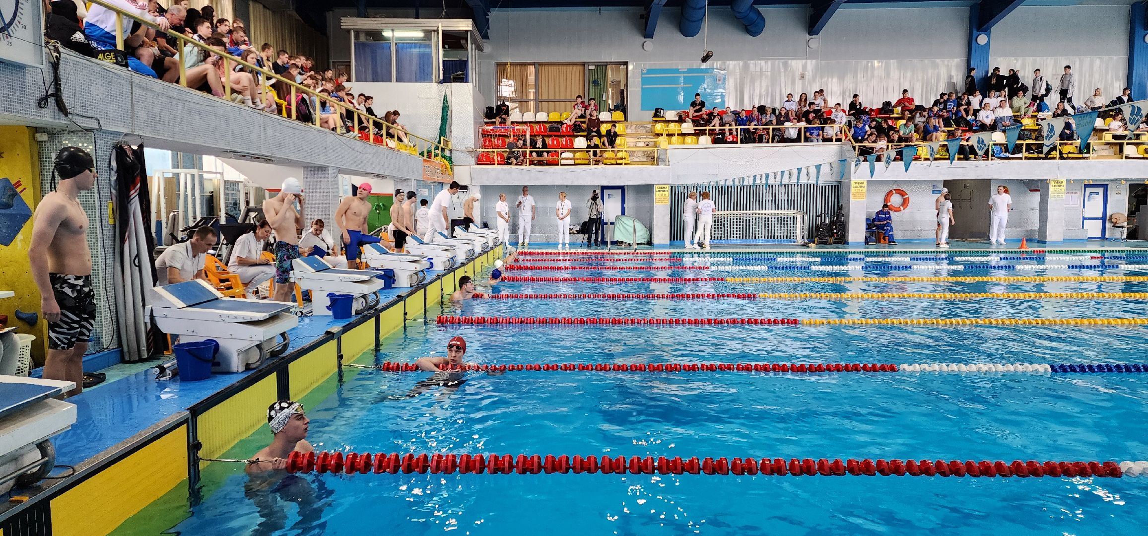 раменское, спорт, первенство Московской области по плаванию,
