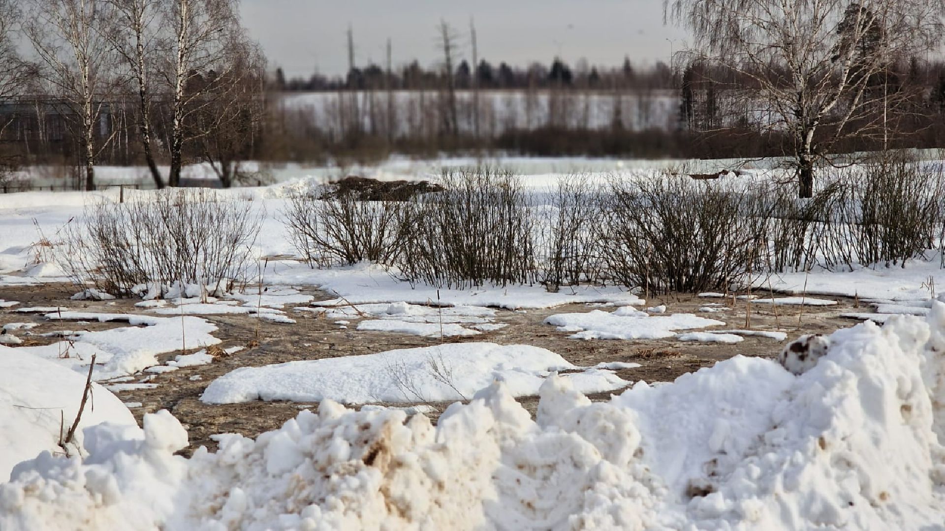 река, загрязнения воды, Экология,