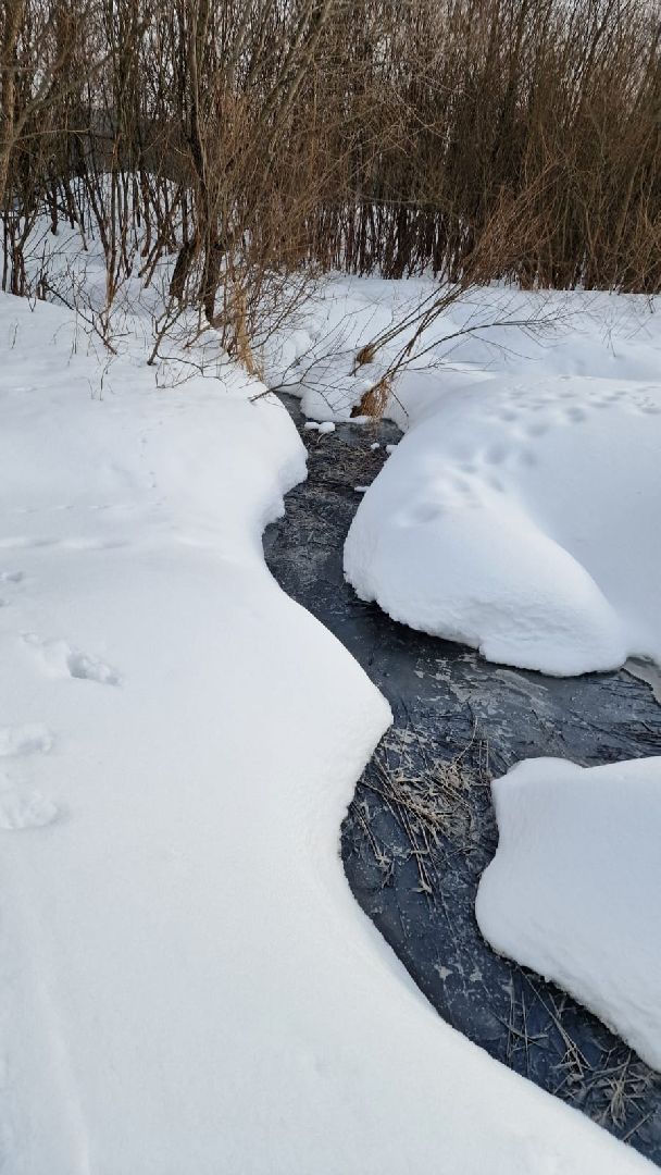 река, загрязнения воды, Экология,