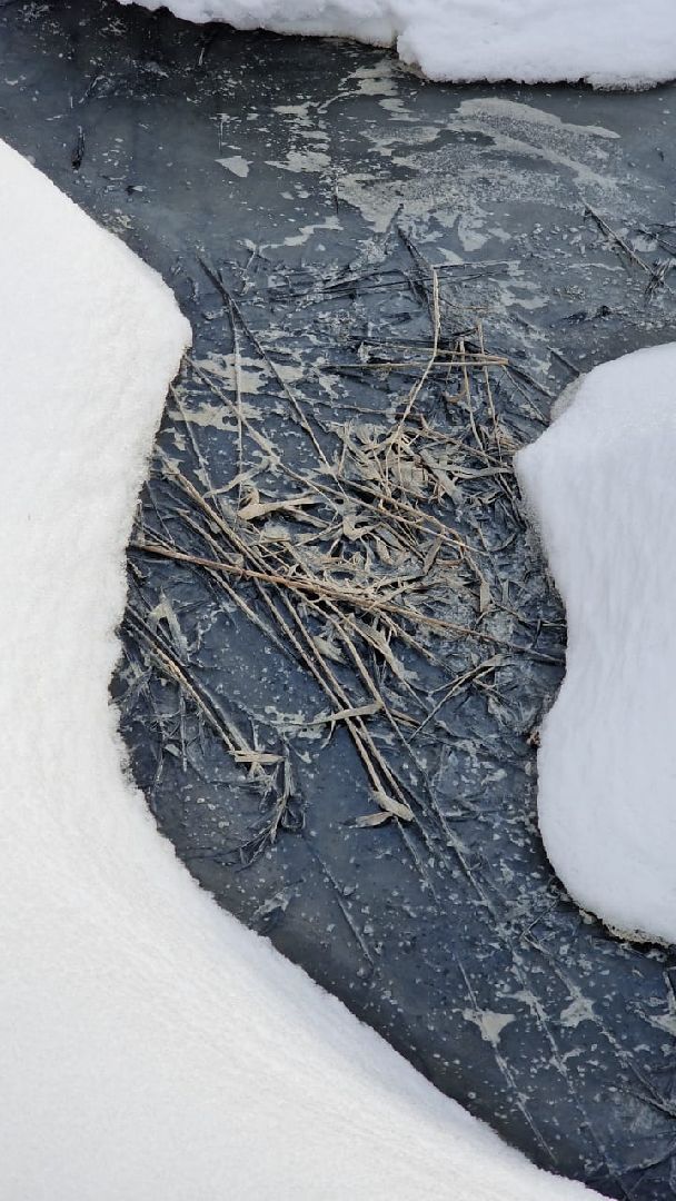 река, загрязнения воды, Экология,