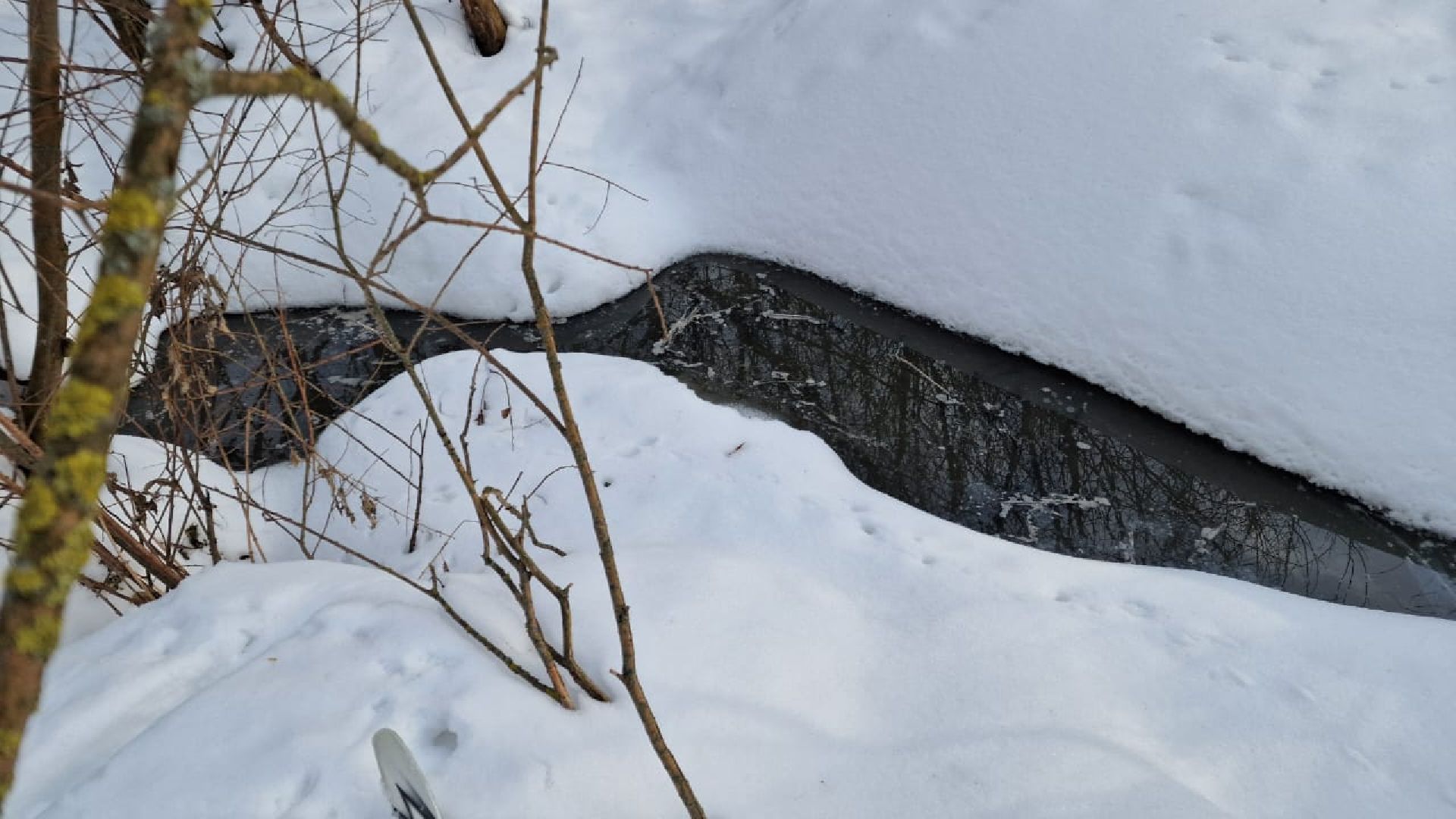 река, загрязнения воды, Экология,