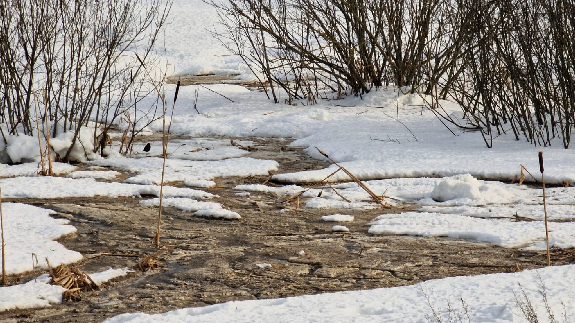 река, загрязнения воды, Экология,