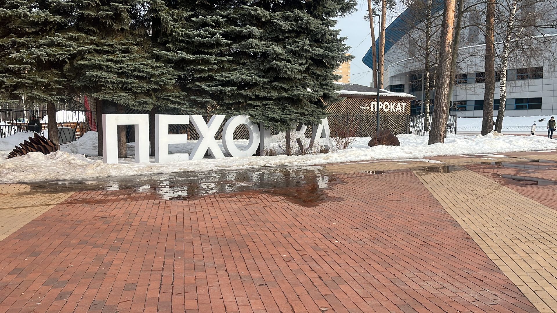 каток в парке, балашиха, парк пехорка, катание в парке,