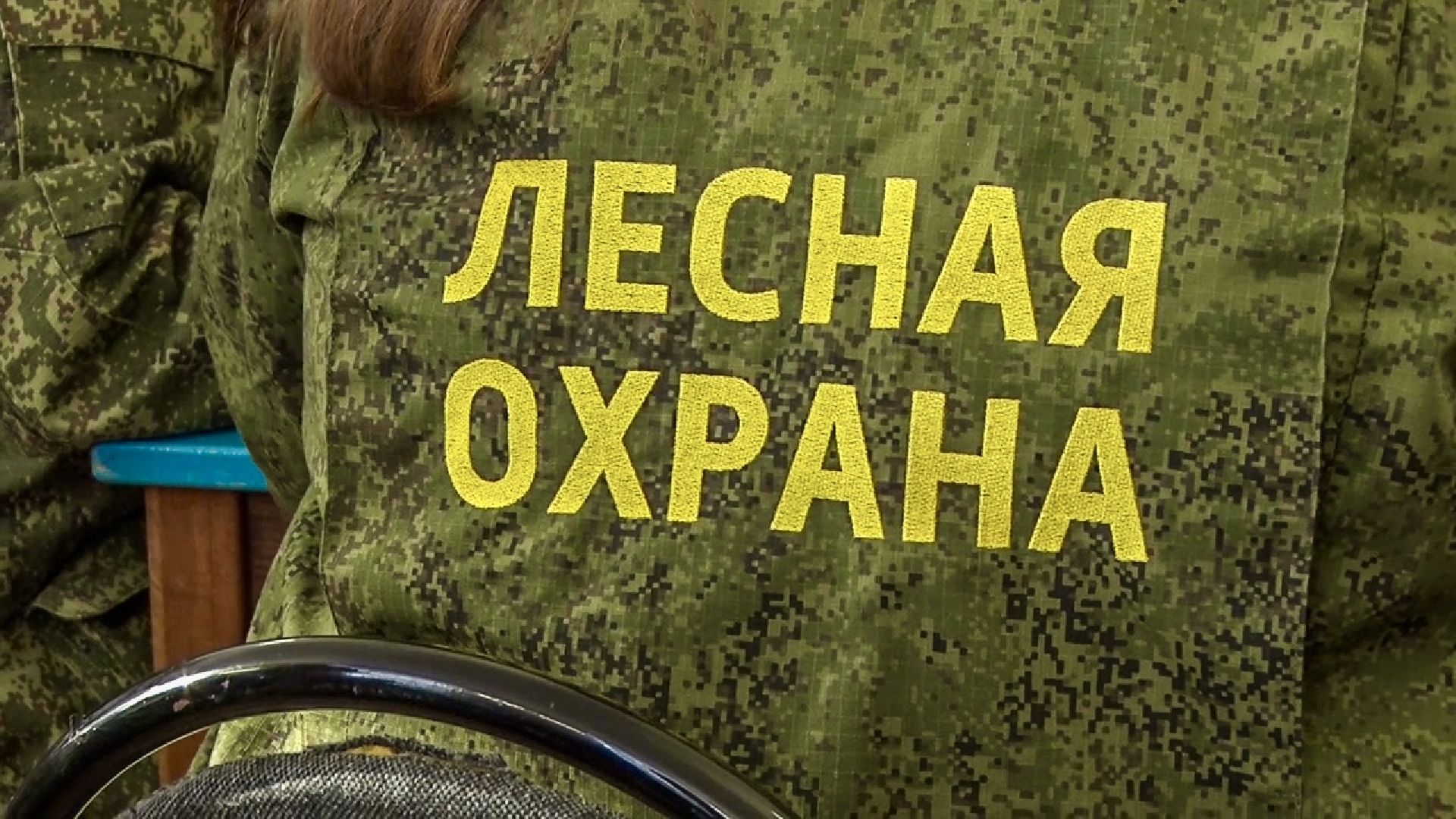 Клин, общество, молодежь, образование, школьные лесничие, лесная охрана,