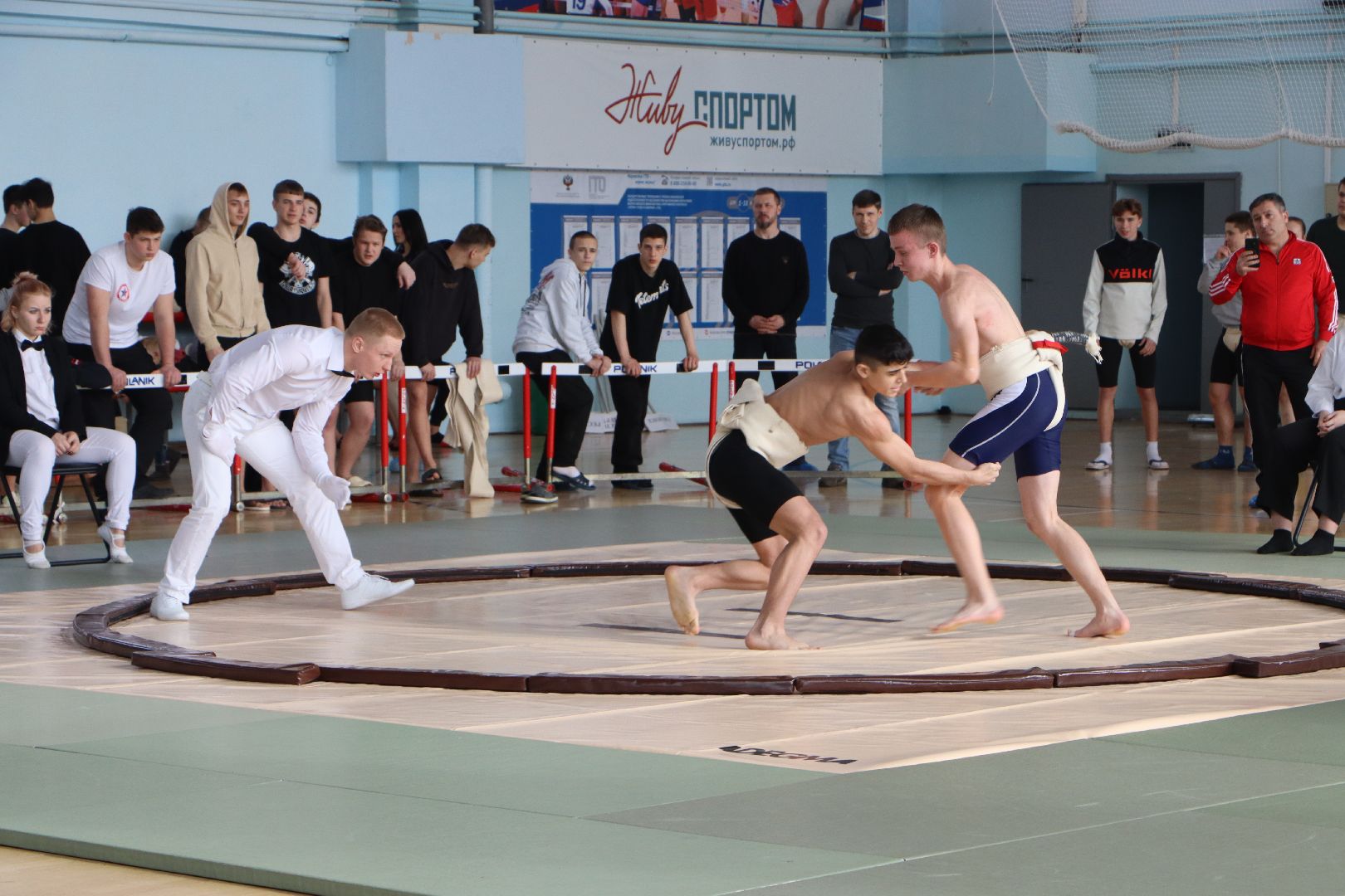 турнир по сумо, Всероссийский турнир по сумо памяти ПИ Романова, Серебряные Пруды, СК Молодежный, спорт, Крым,
