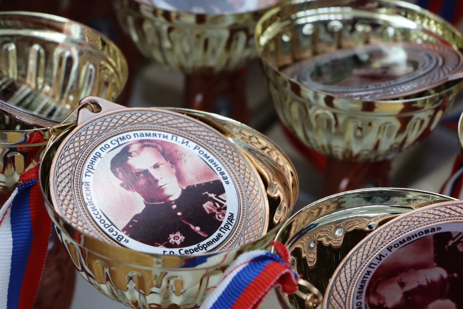 турнир по сумо, Всероссийский турнир по сумо памяти ПИ Романова, Серебряные Пруды, СК Молодежный, спорт, Крым,