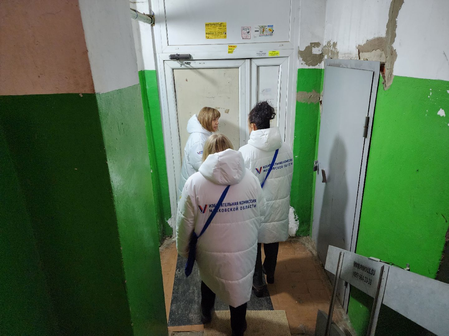 пушкино, выборы президента 2024, избиратели, уик, обход квартир,