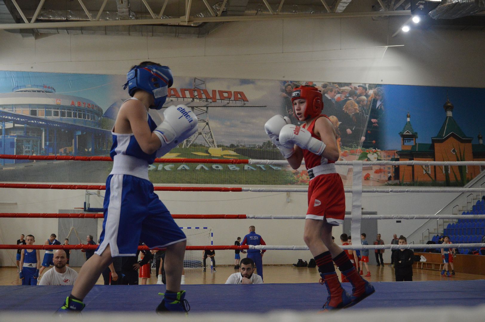 шатура, бокс, первенство московской области по боксу, спорт в подмосковье, городской округ спорт, супер бокс,