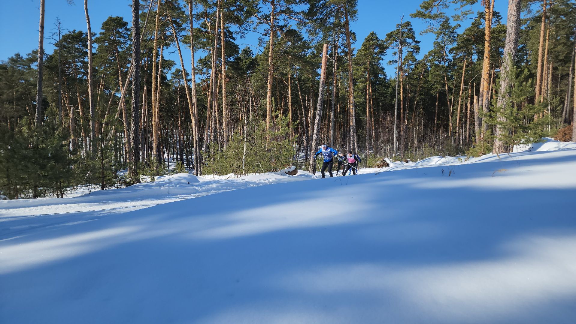 спорт ступино, спорт в подмосковье, лыжные гонки,