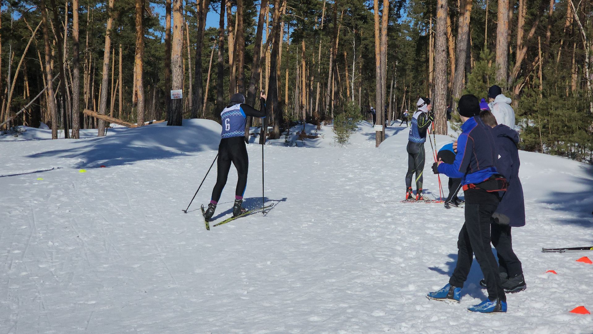 спорт ступино, спорт в подмосковье, лыжные гонки,