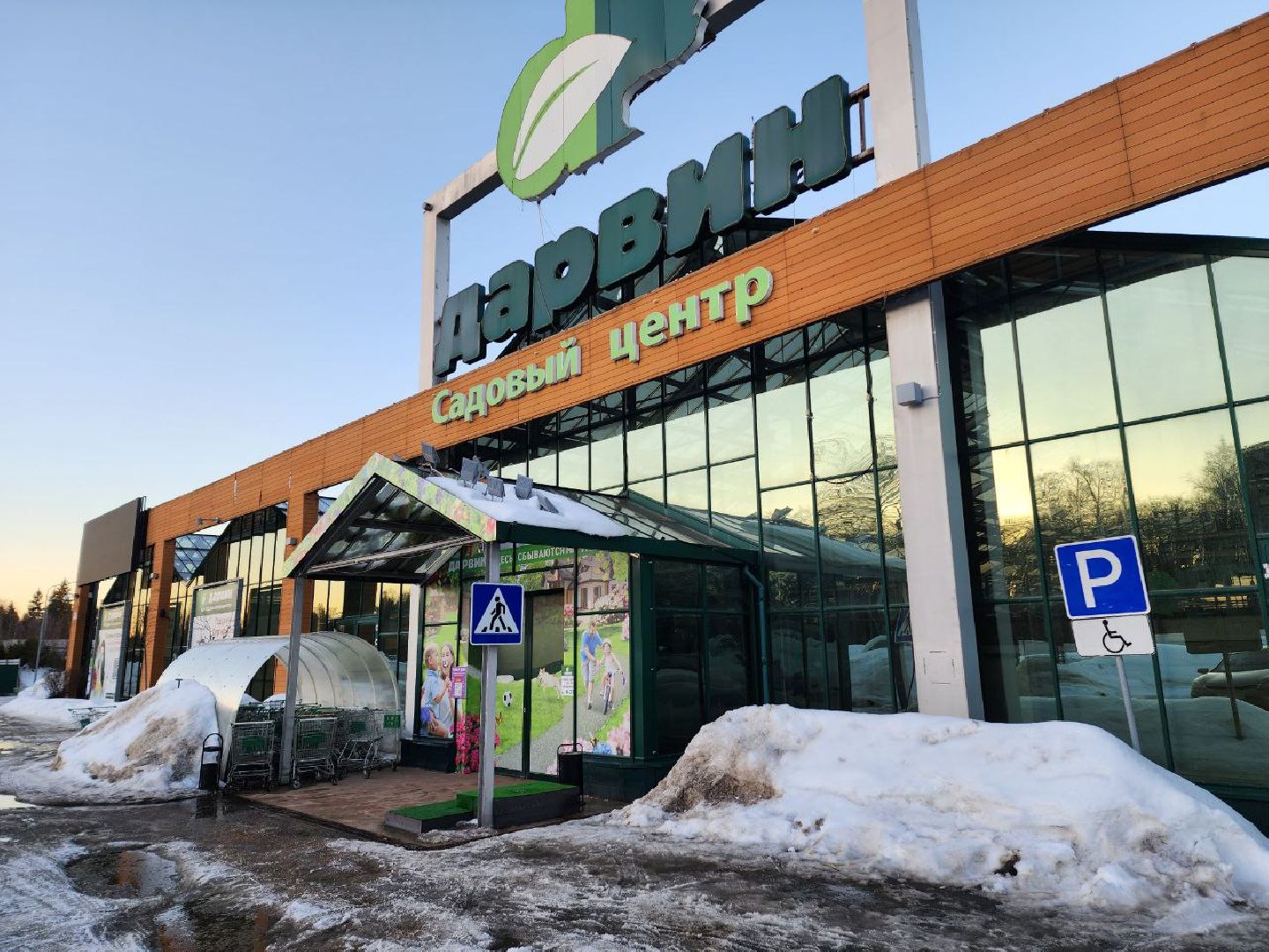 Солнечногорск, Огород, Садоводы, Растения, Дачники,