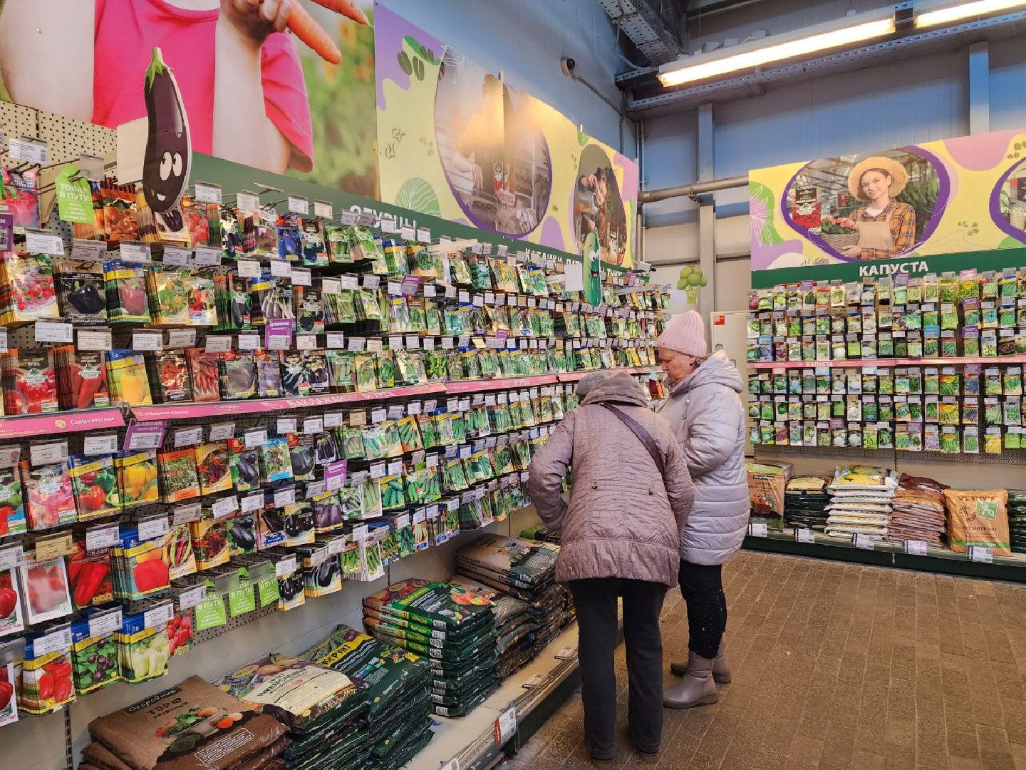 Солнечногорск, Огород, Садоводы, Растения, Дачники,