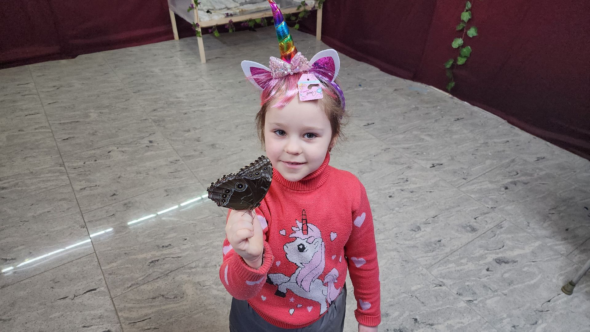 выставка бабочек, ТЦ Самолет, ул гагарина,