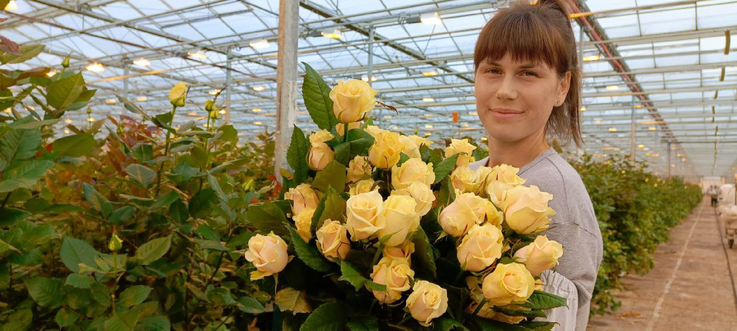 Дмитров, ТК Подосинки, Минсельхоз,