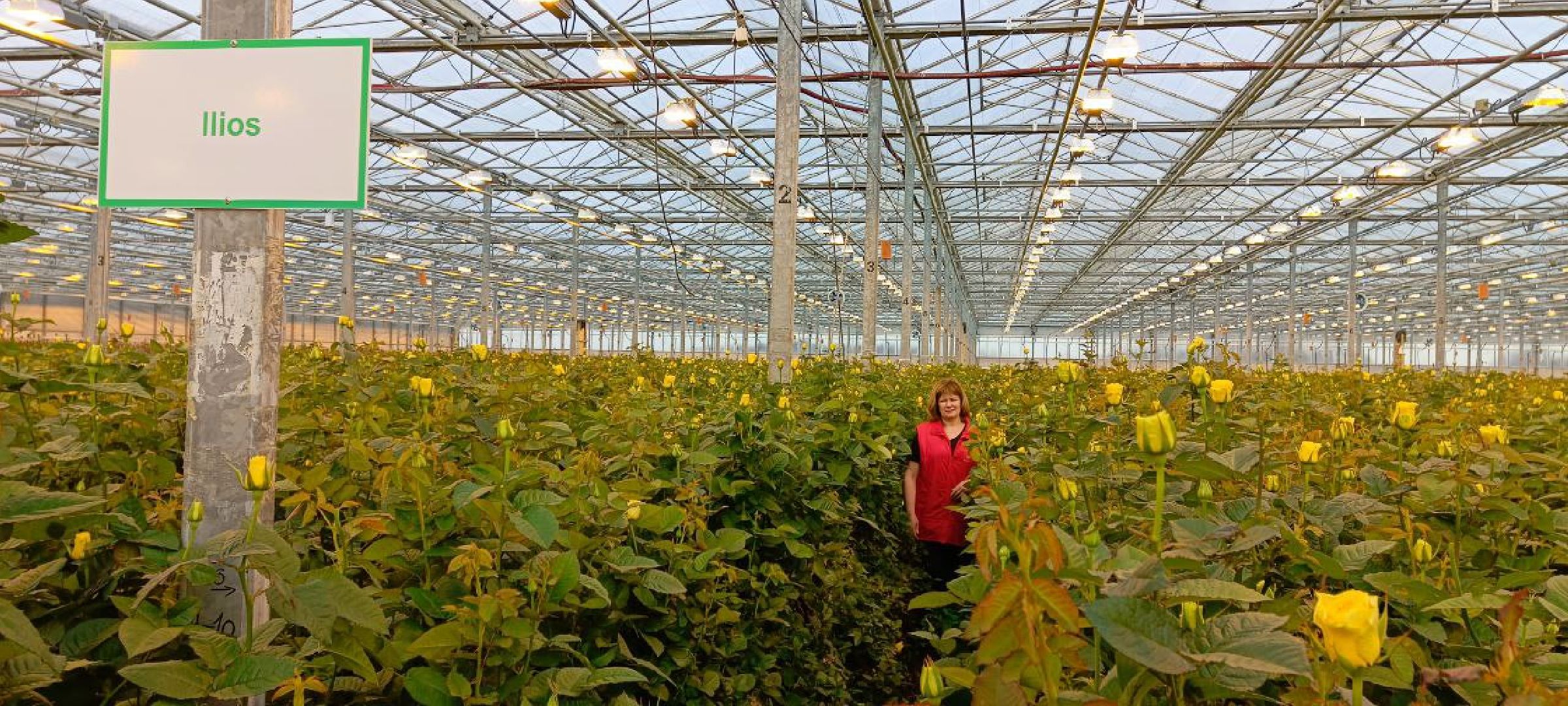 Дмитров, ТК Подосинки, Минсельхоз,