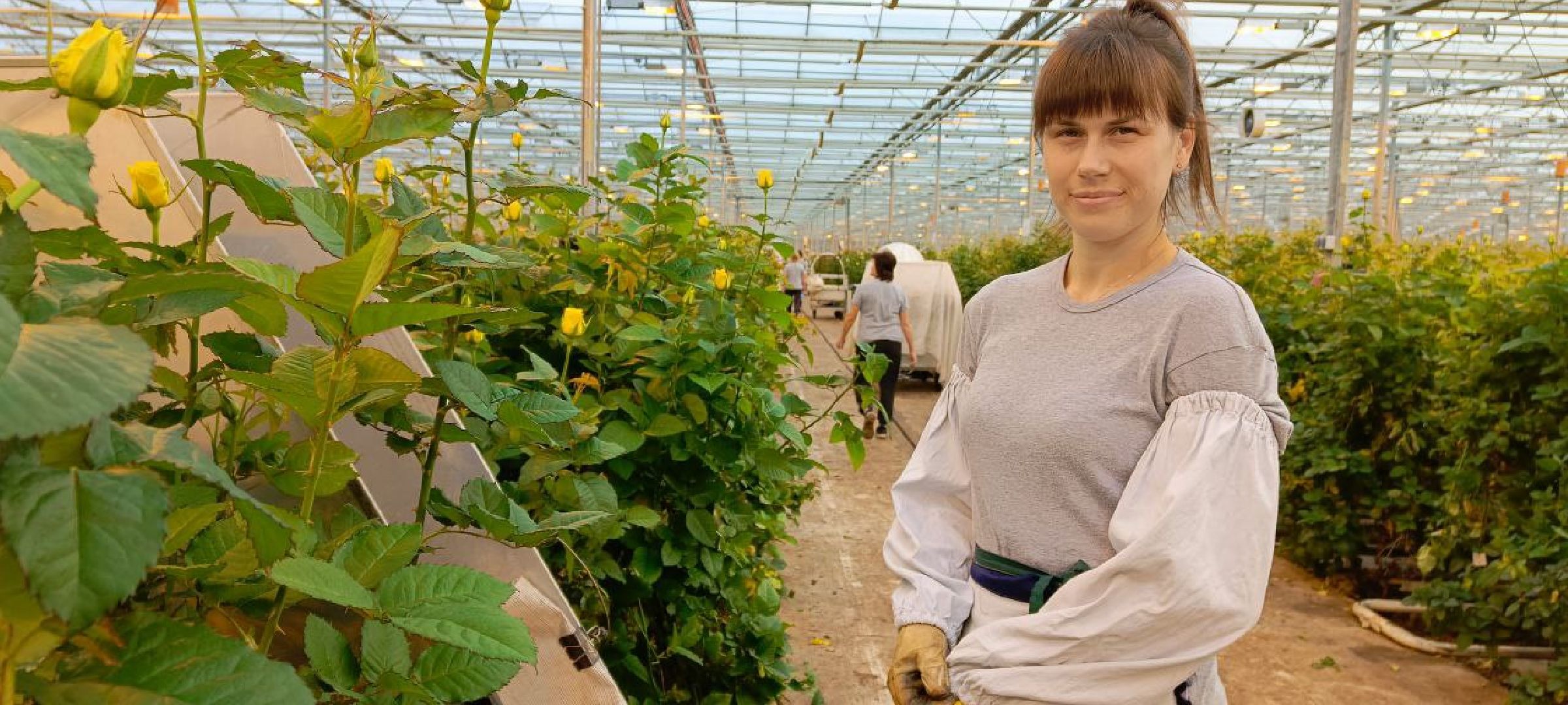 Дмитров, ТК Подосинки, Минсельхоз,