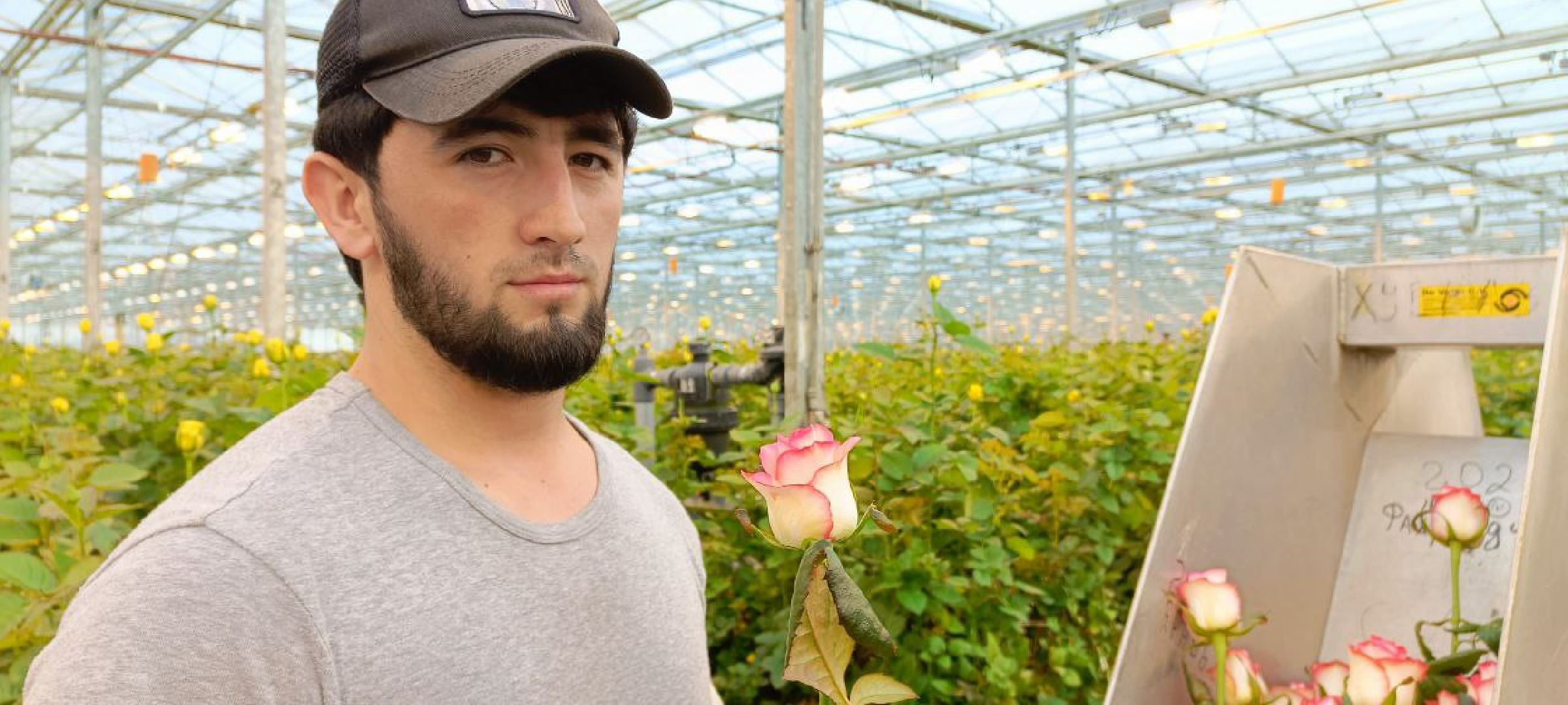 Дмитров, ТК Подосинки, Минсельхоз,