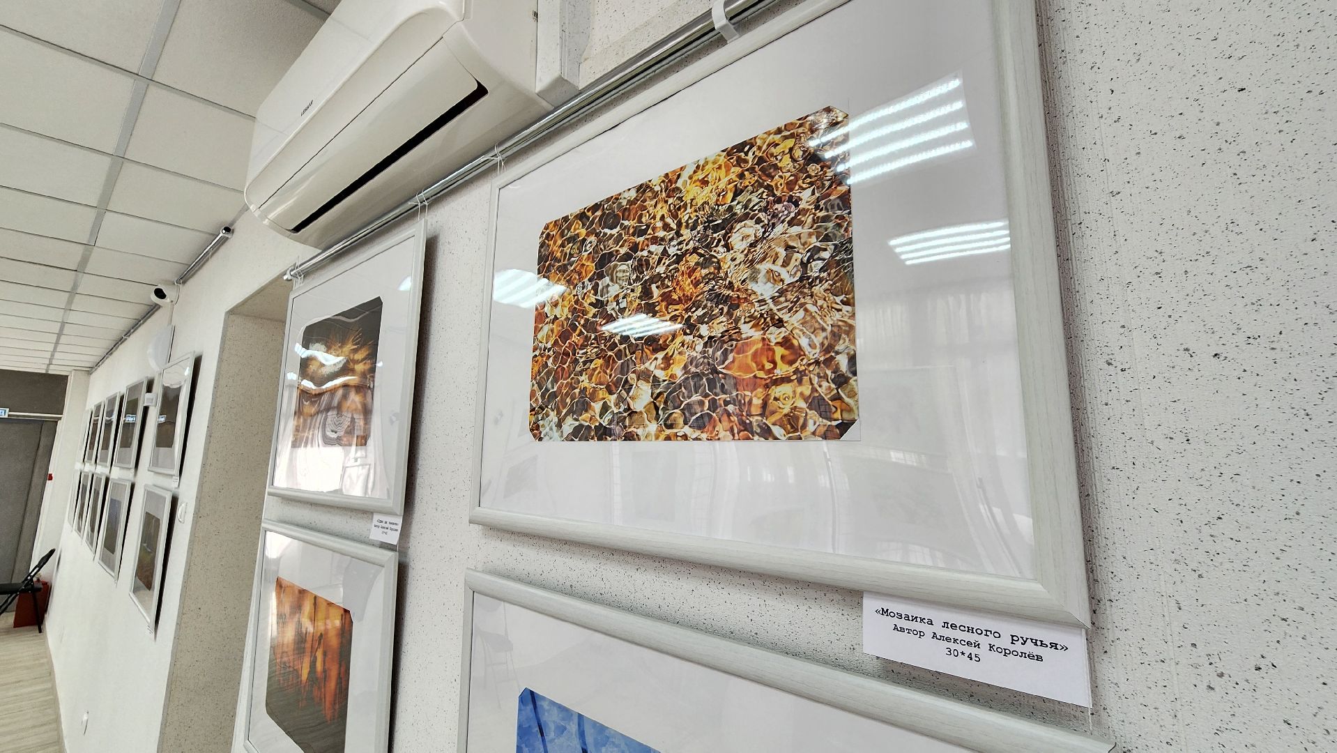 выставка, музей, протвино, в моменте, экспозиция,