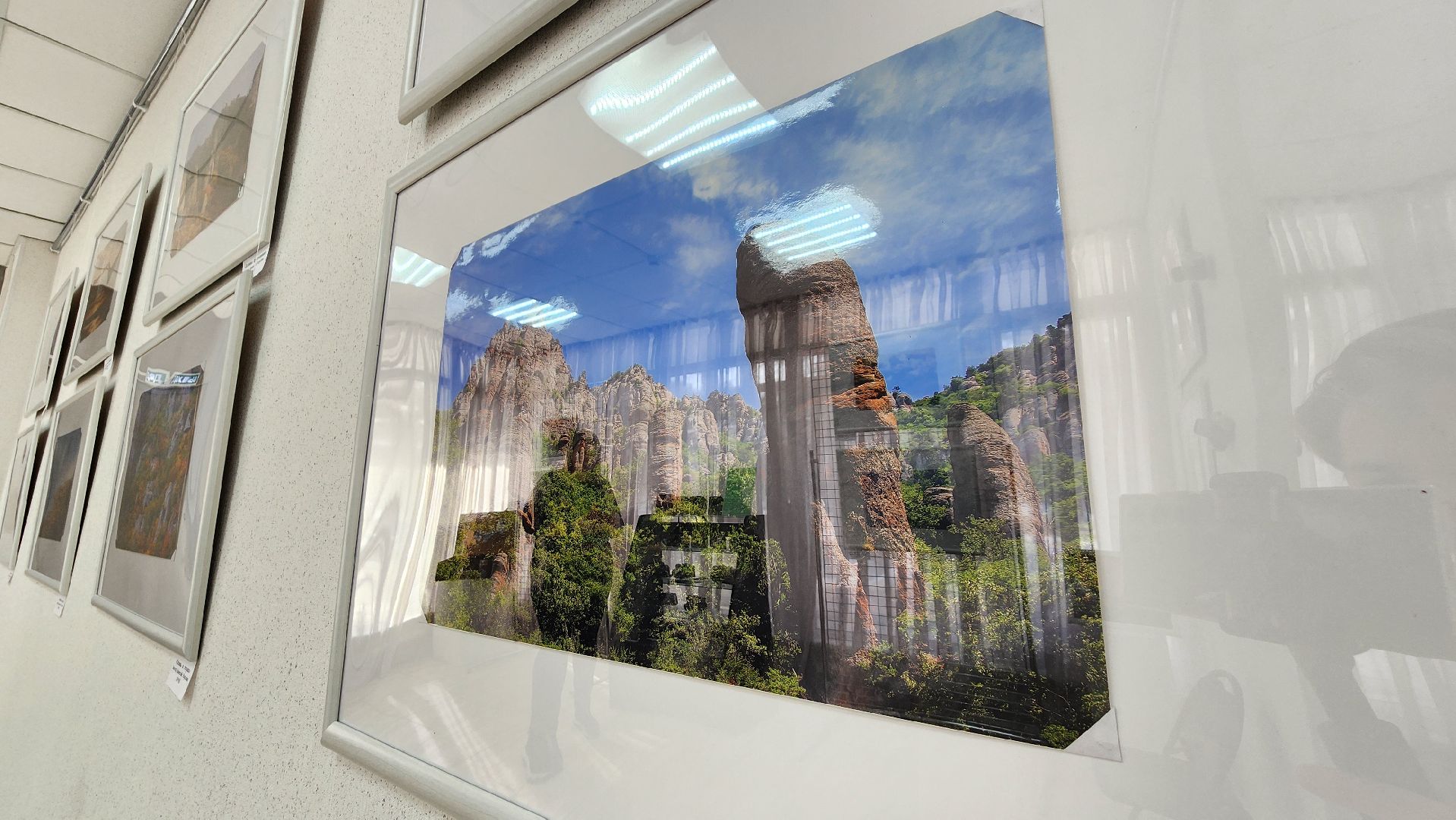 выставка, музей, протвино, в моменте, экспозиция,