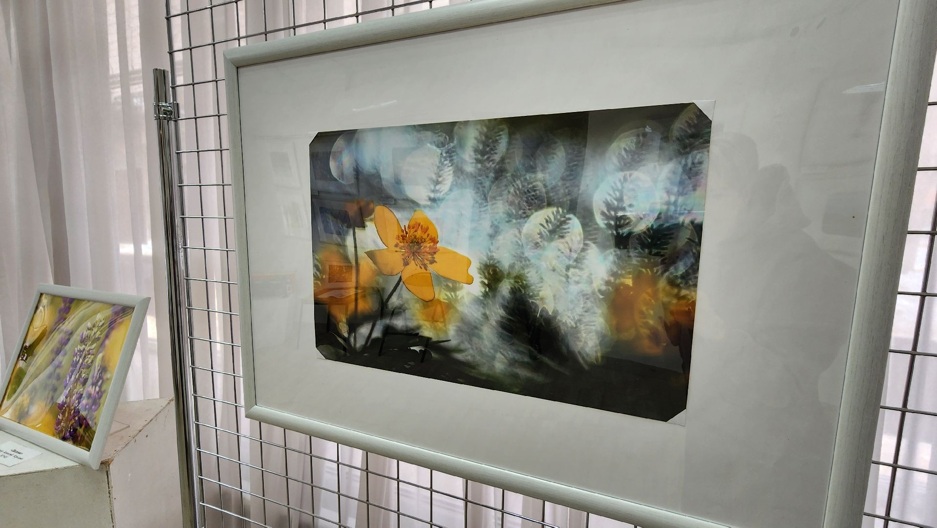 выставка, музей, протвино, в моменте, экспозиция,