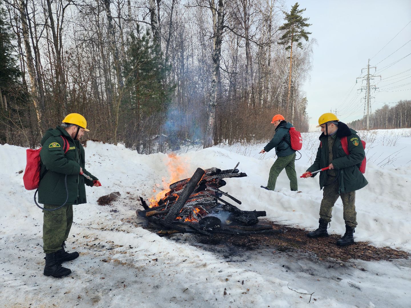 серпухов, подмосковье, русский лес, учения,