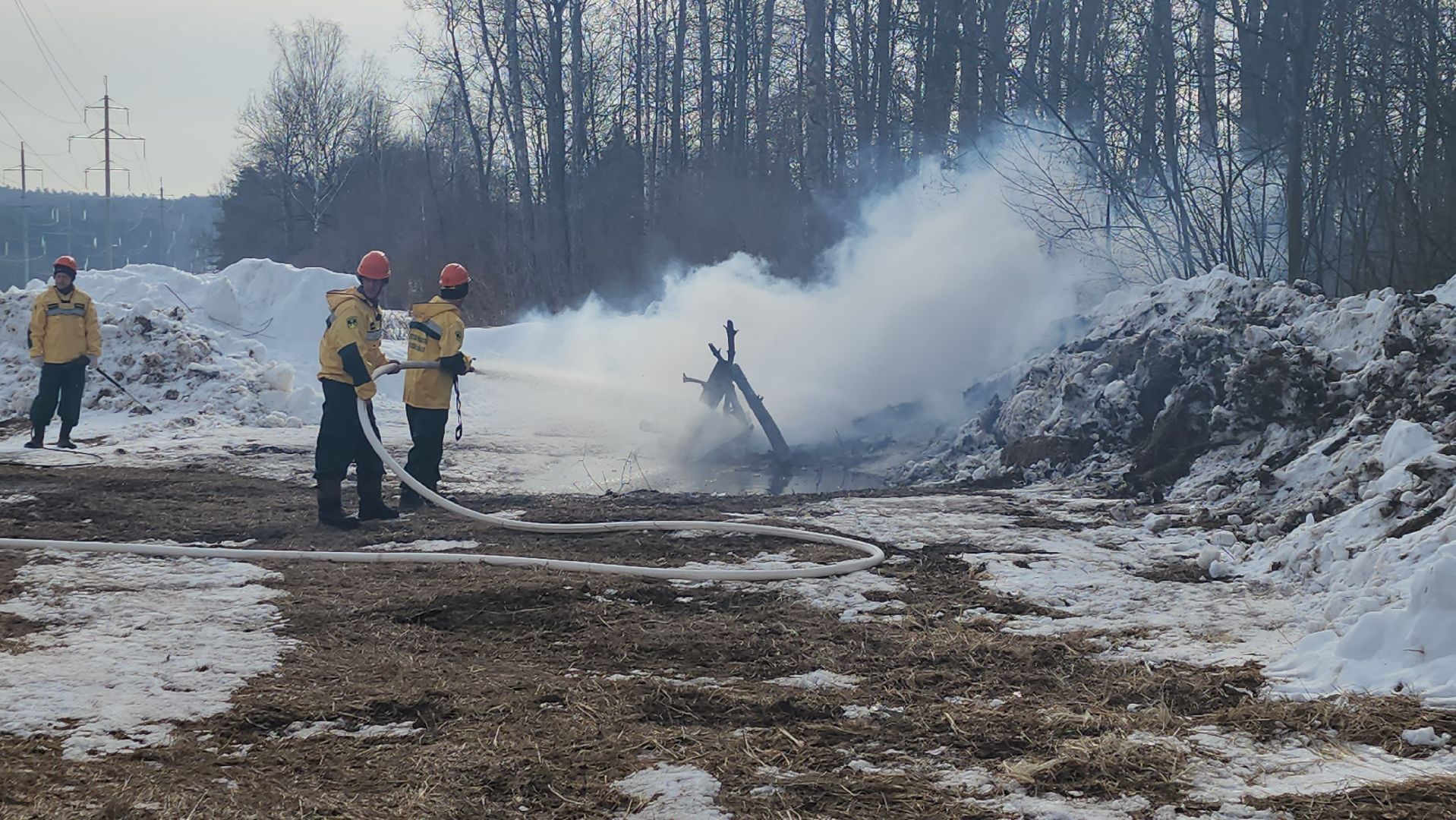 серпухов, подмосковье, русский лес, учения,