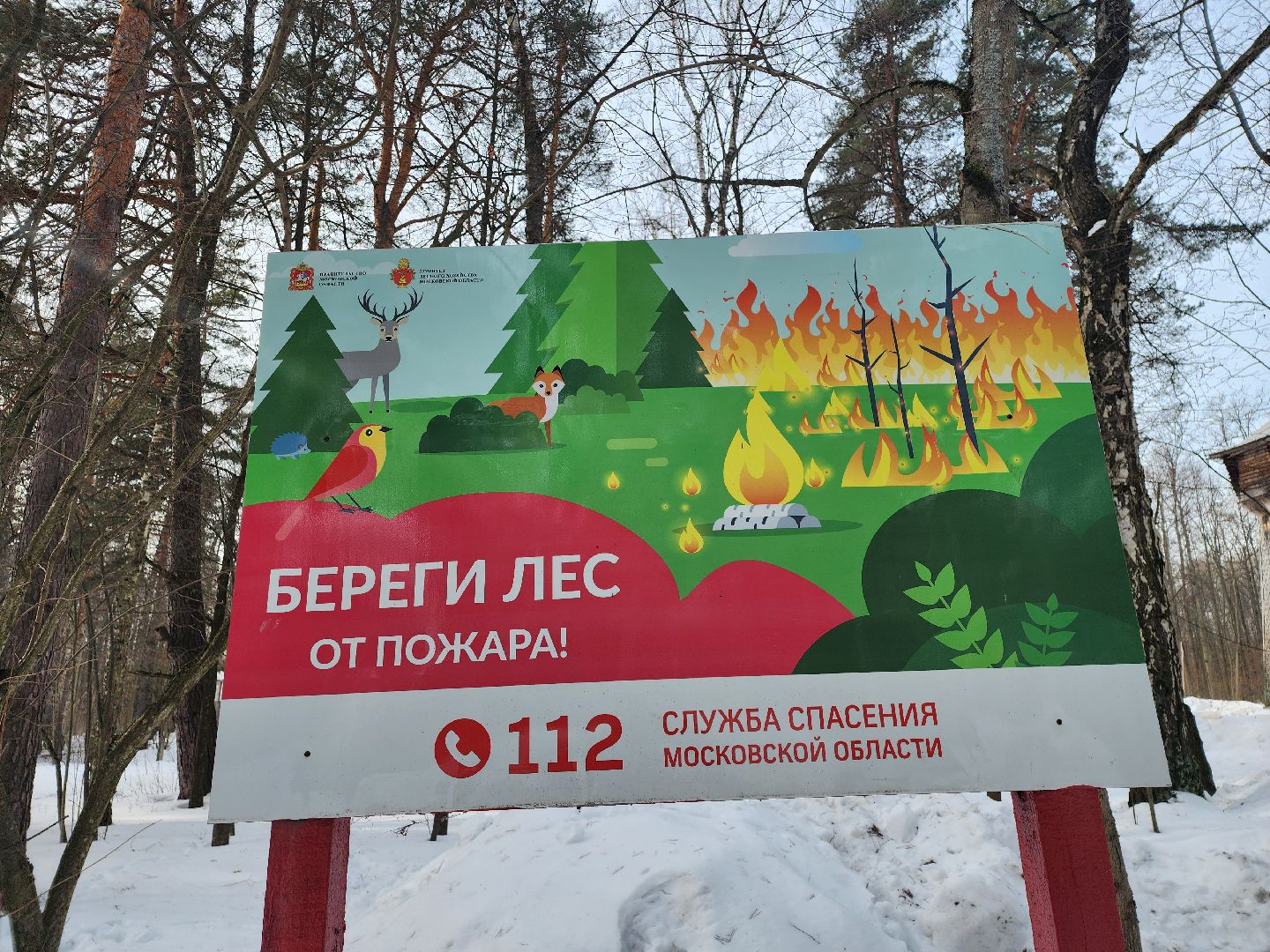 серпухов, подмосковье, русский лес, учения,