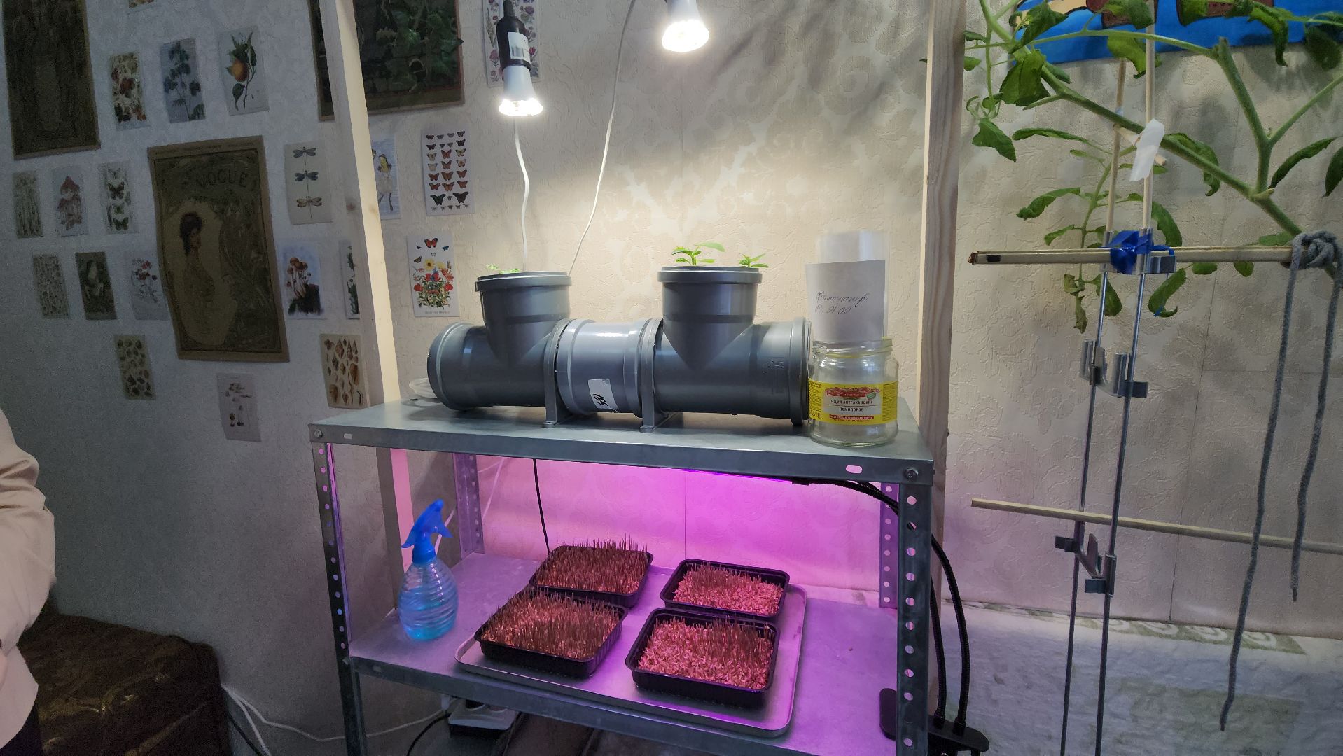 ступино, малино, образование,